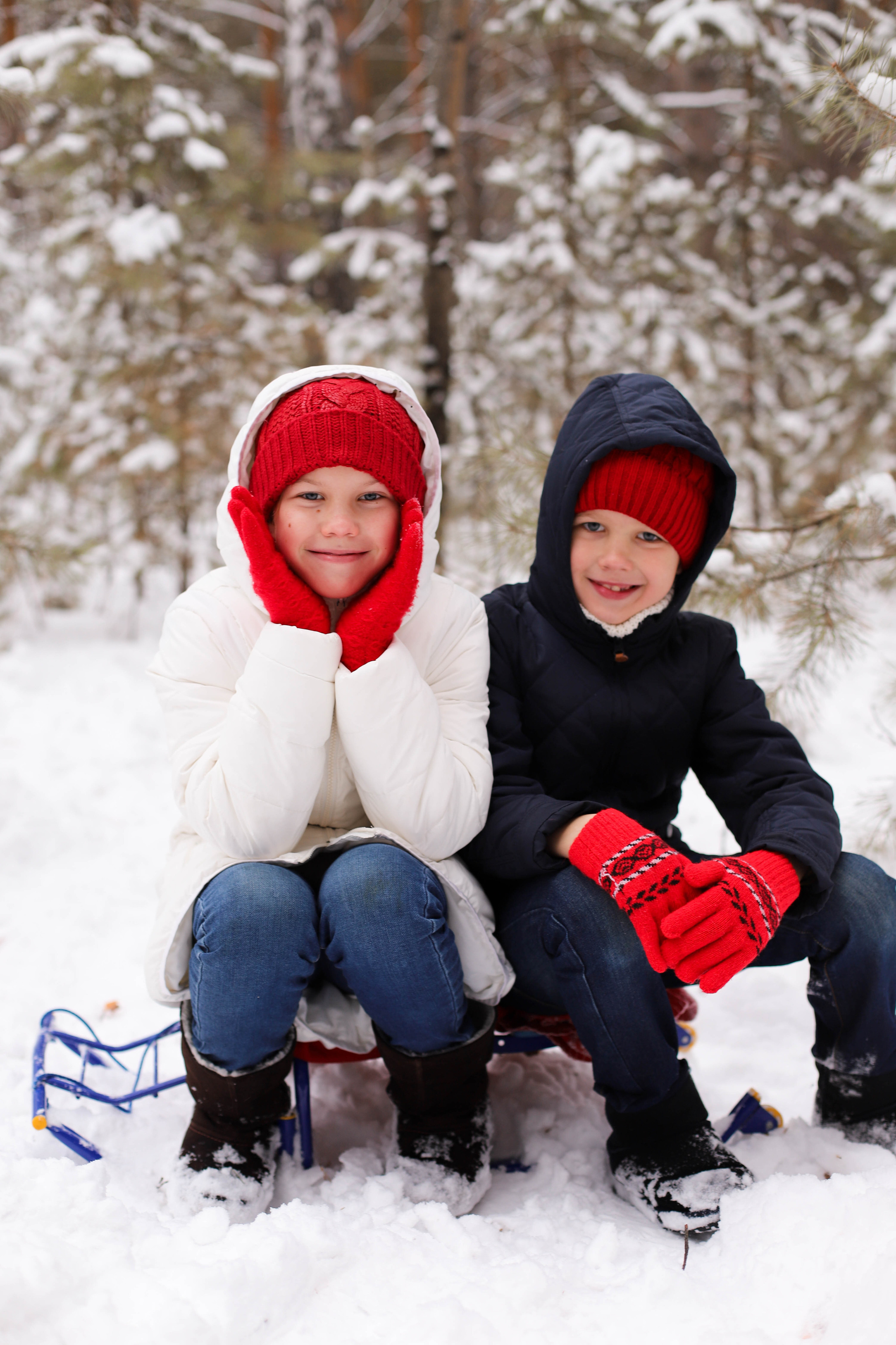 В сосновом лесу. Семейный и детский фотограф в Красноярске Анна Шори