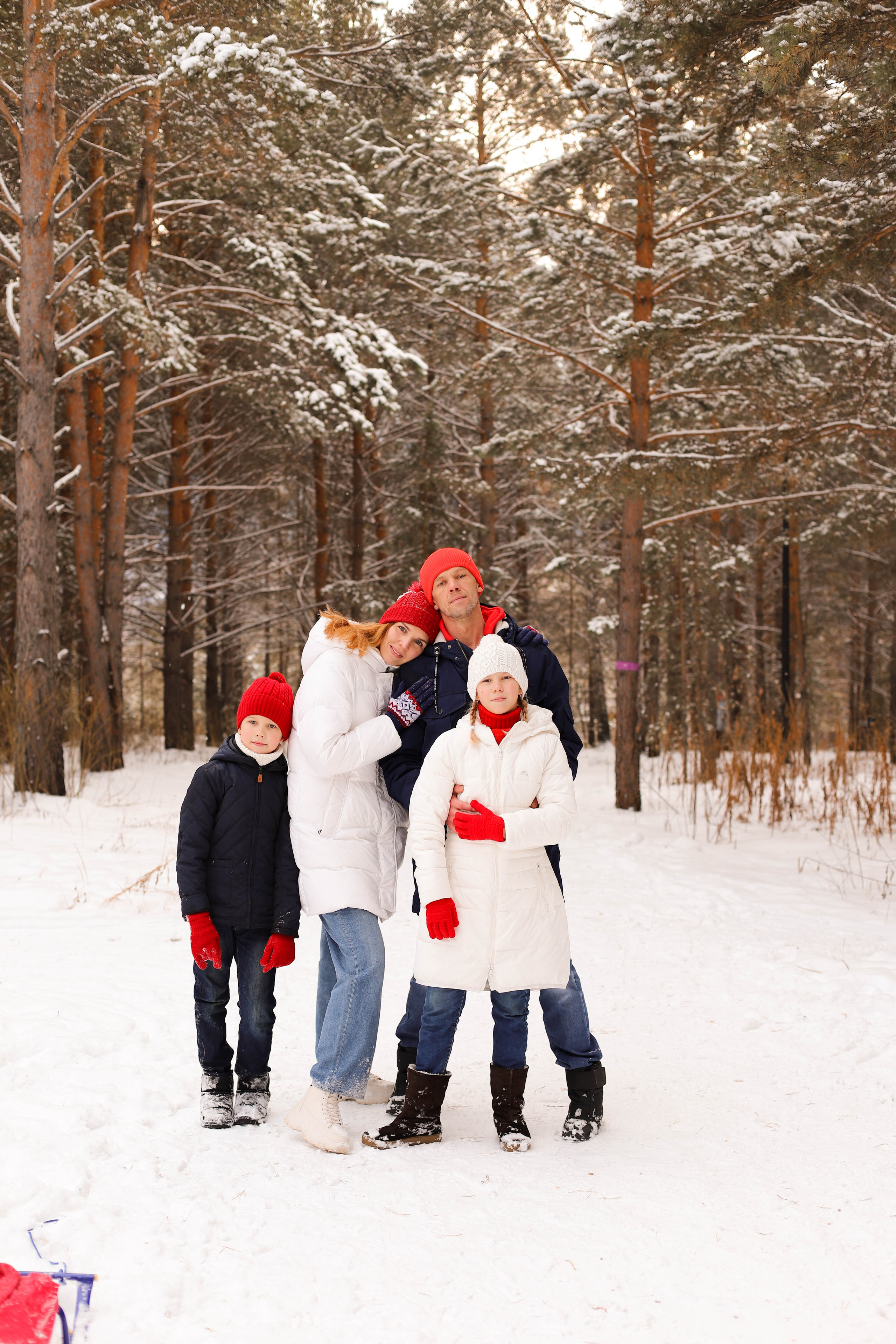 В сосновом лесу. Семейный и детский фотограф в Красноярске Анна Шори