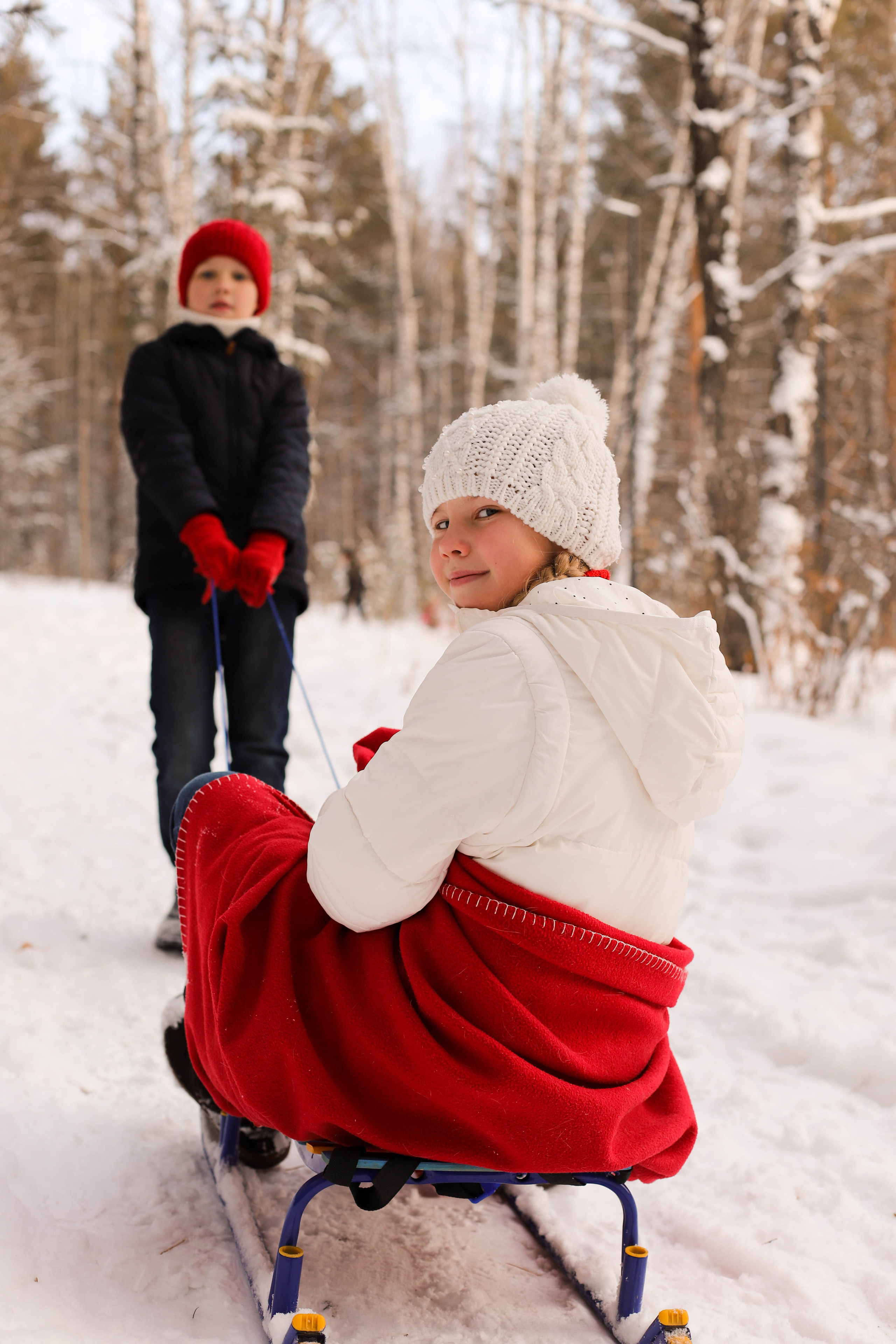 В сосновом лесу. Семейный и детский фотограф в Красноярске Анна Шори