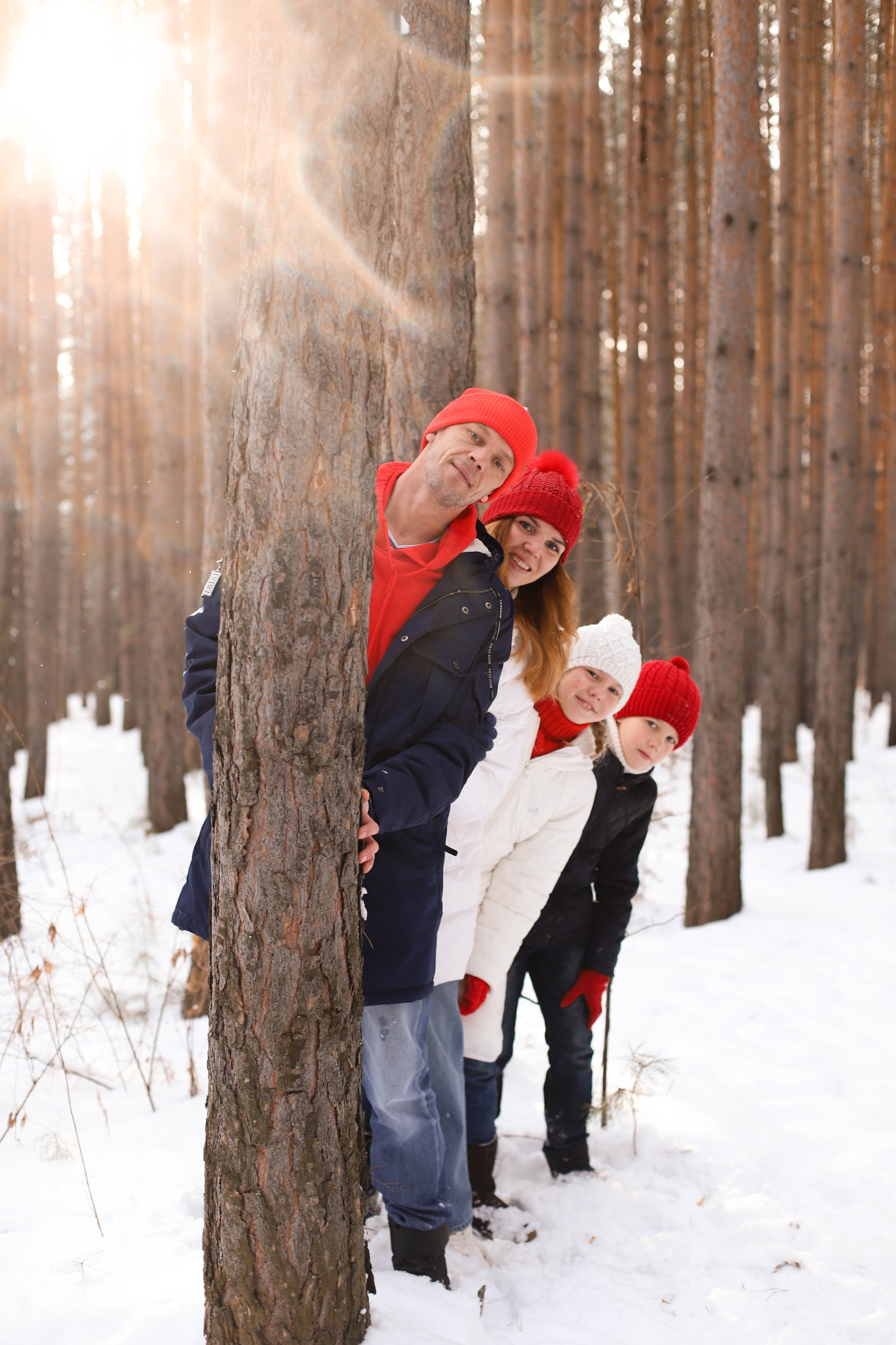 В сосновом лесу. Семейный и детский фотограф в Красноярске Анна Шори
