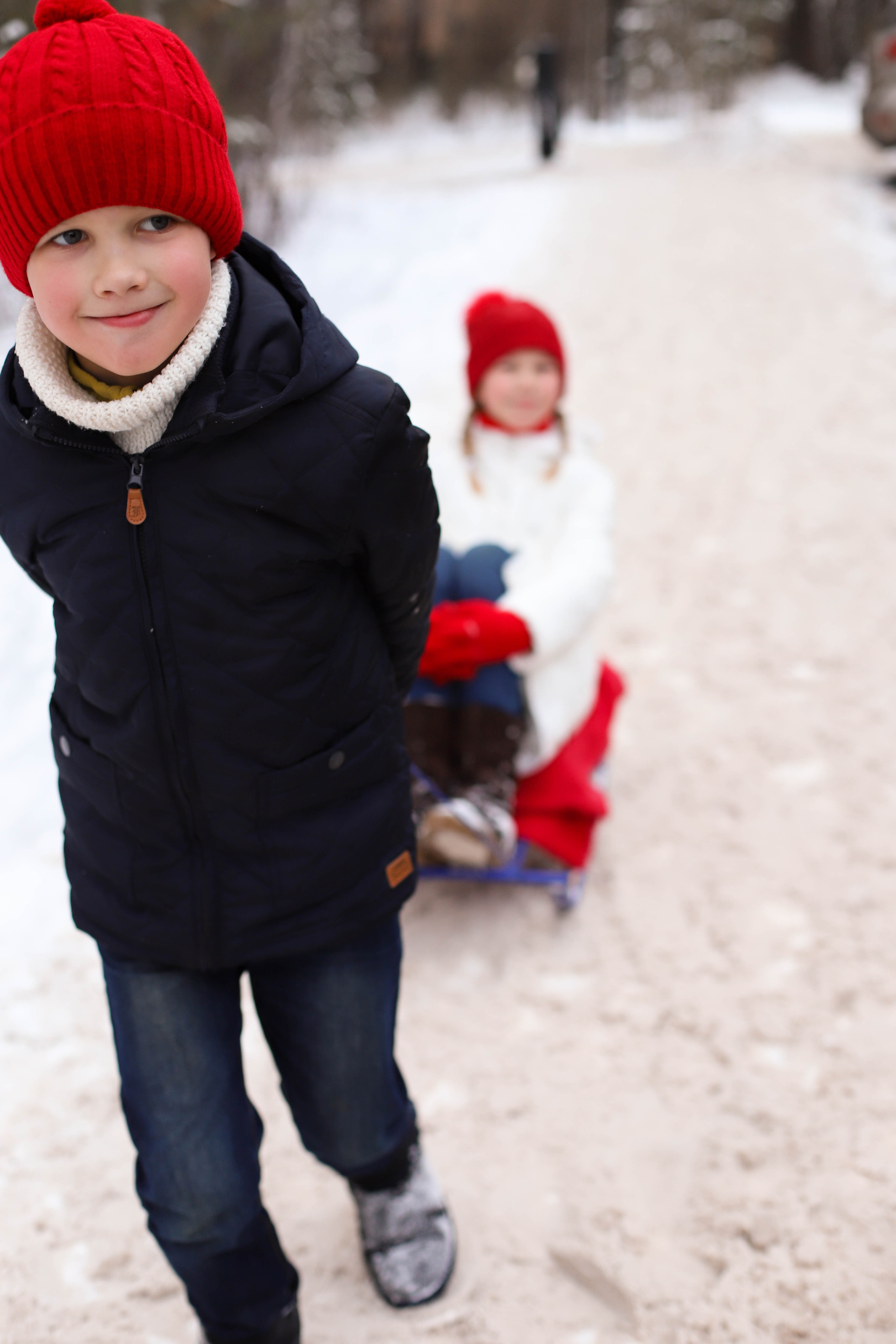 В сосновом лесу. Семейный и детский фотограф в Красноярске Анна Шори