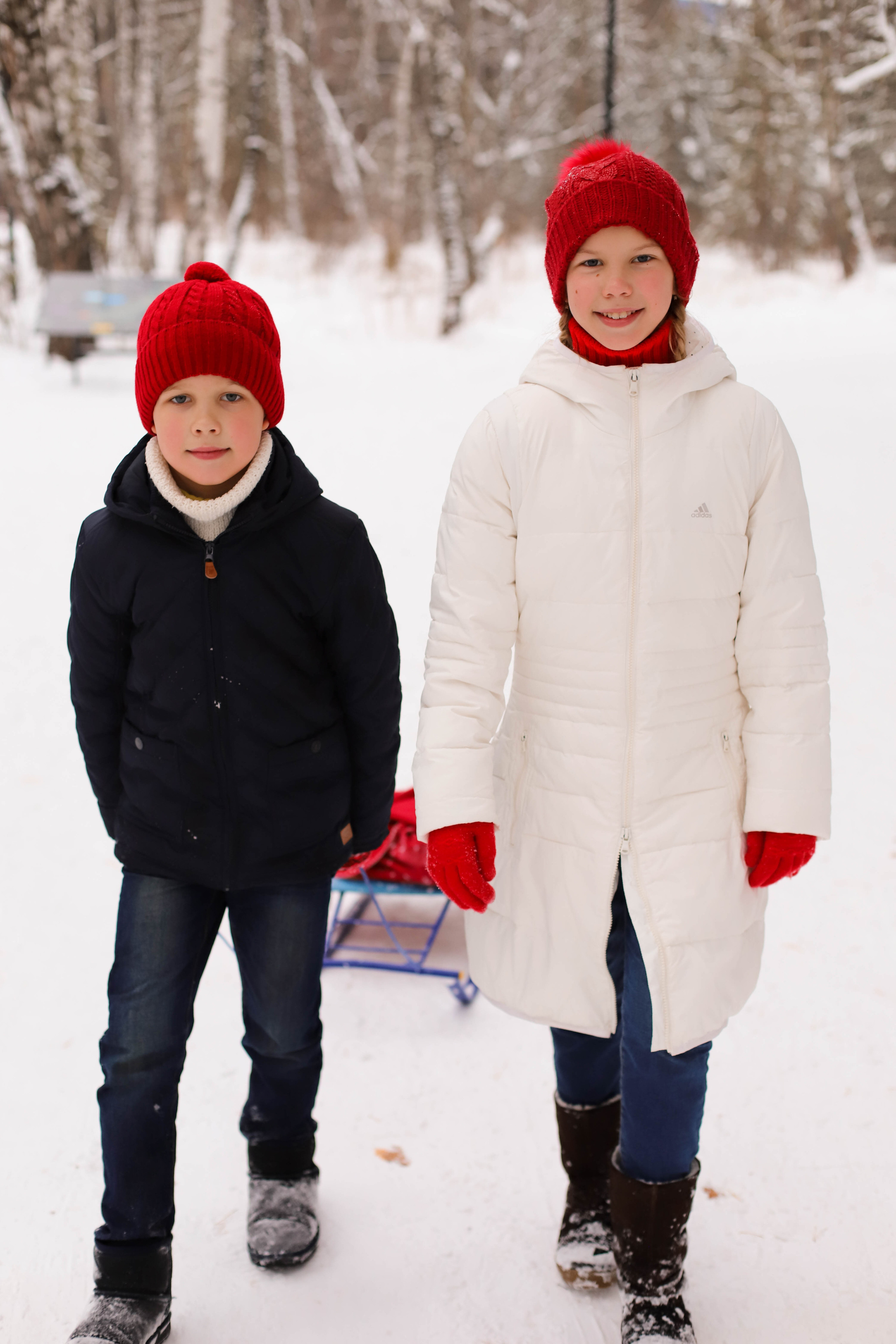 В сосновом лесу. Семейный и детский фотограф в Красноярске Анна Шори