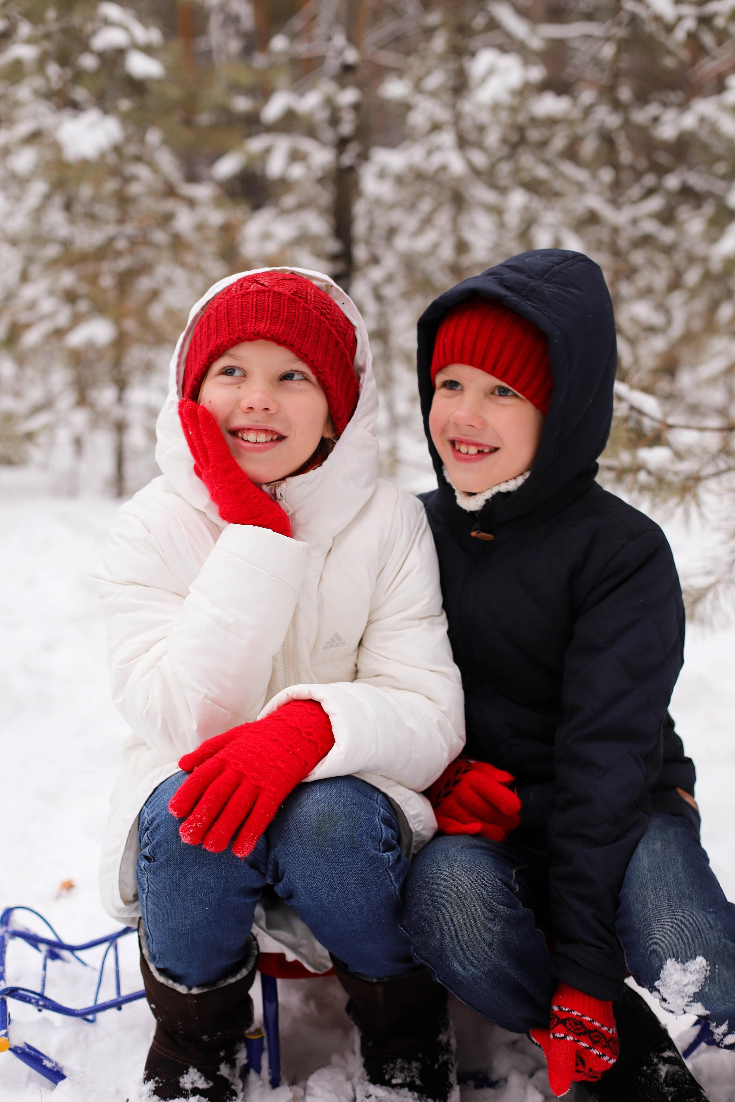 В сосновом лесу. Семейный и детский фотограф в Красноярске Анна Шори