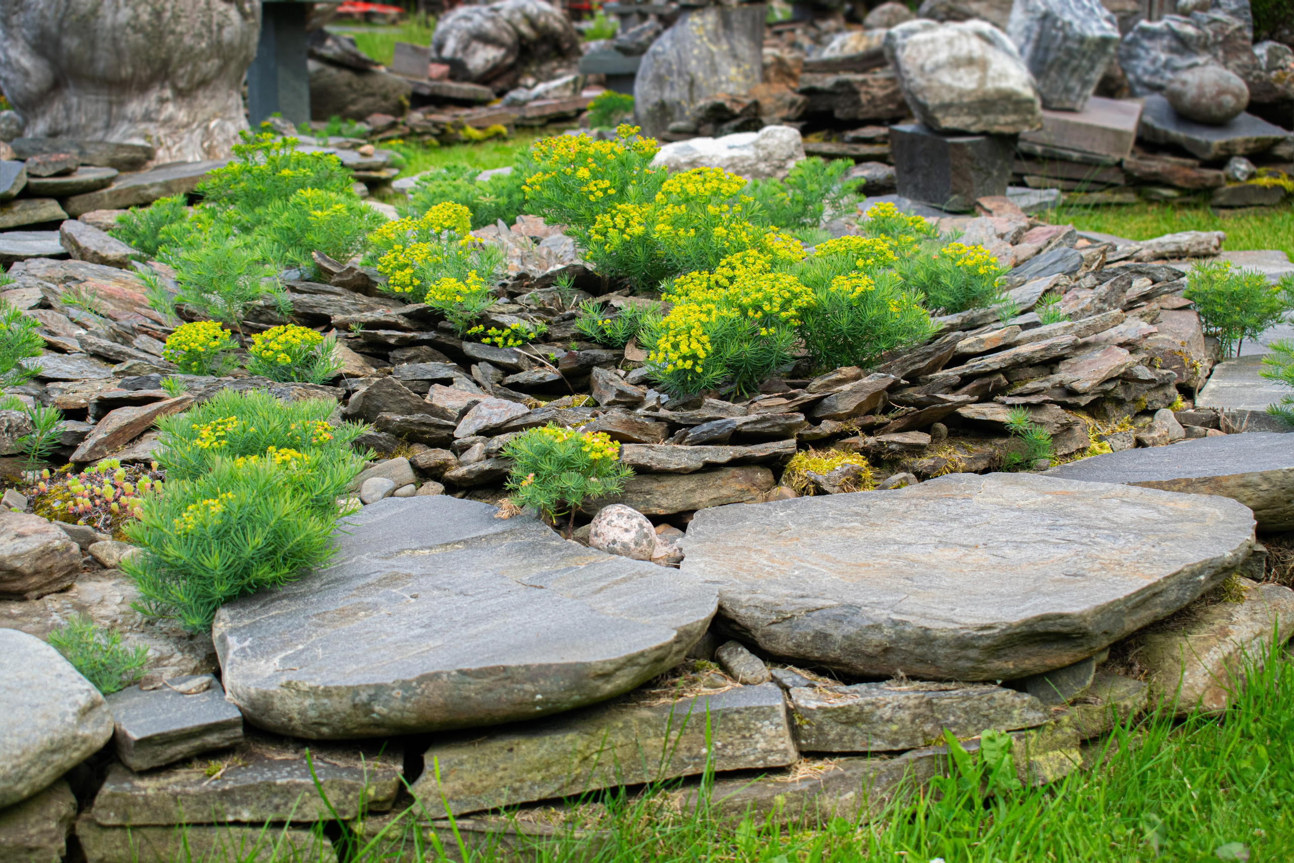 Садово-парковая и ландшафтная фотосъёмка. Фотограф в Карелии, Сортавала, Рускеала Наталья Зверева