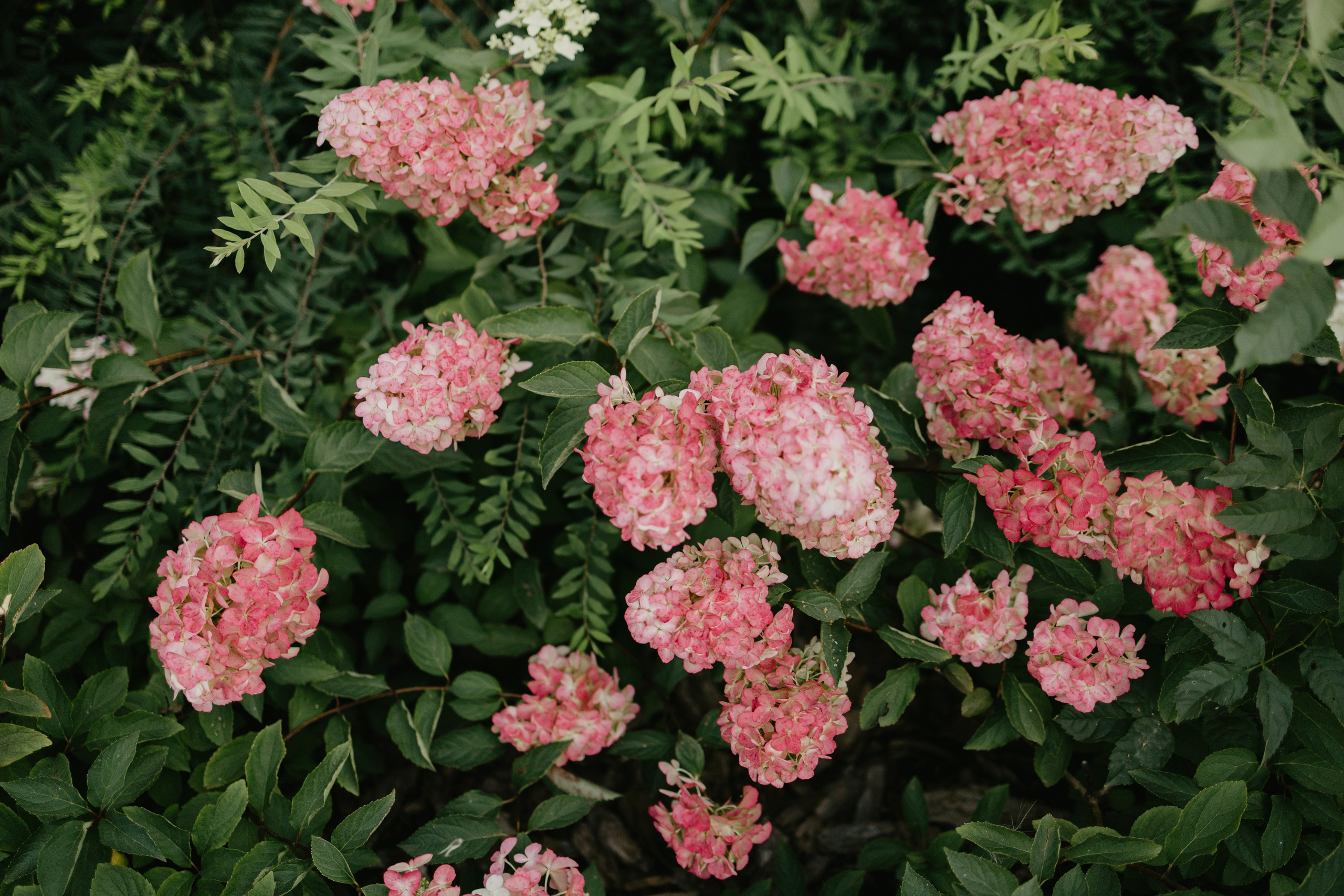 Арина. Про любовь