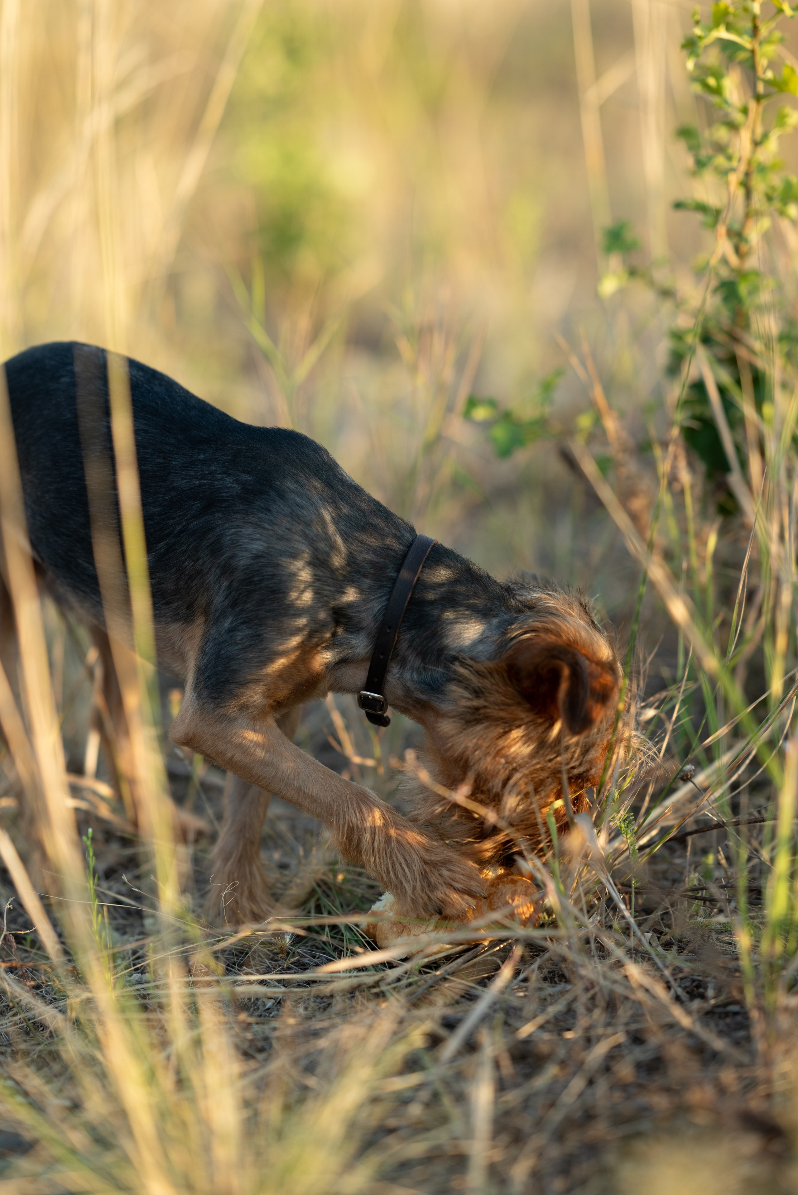 Семья Джаманкуловых. Семейный, женский и детский фотограф в Саратове Айгуль Дюсенбаева