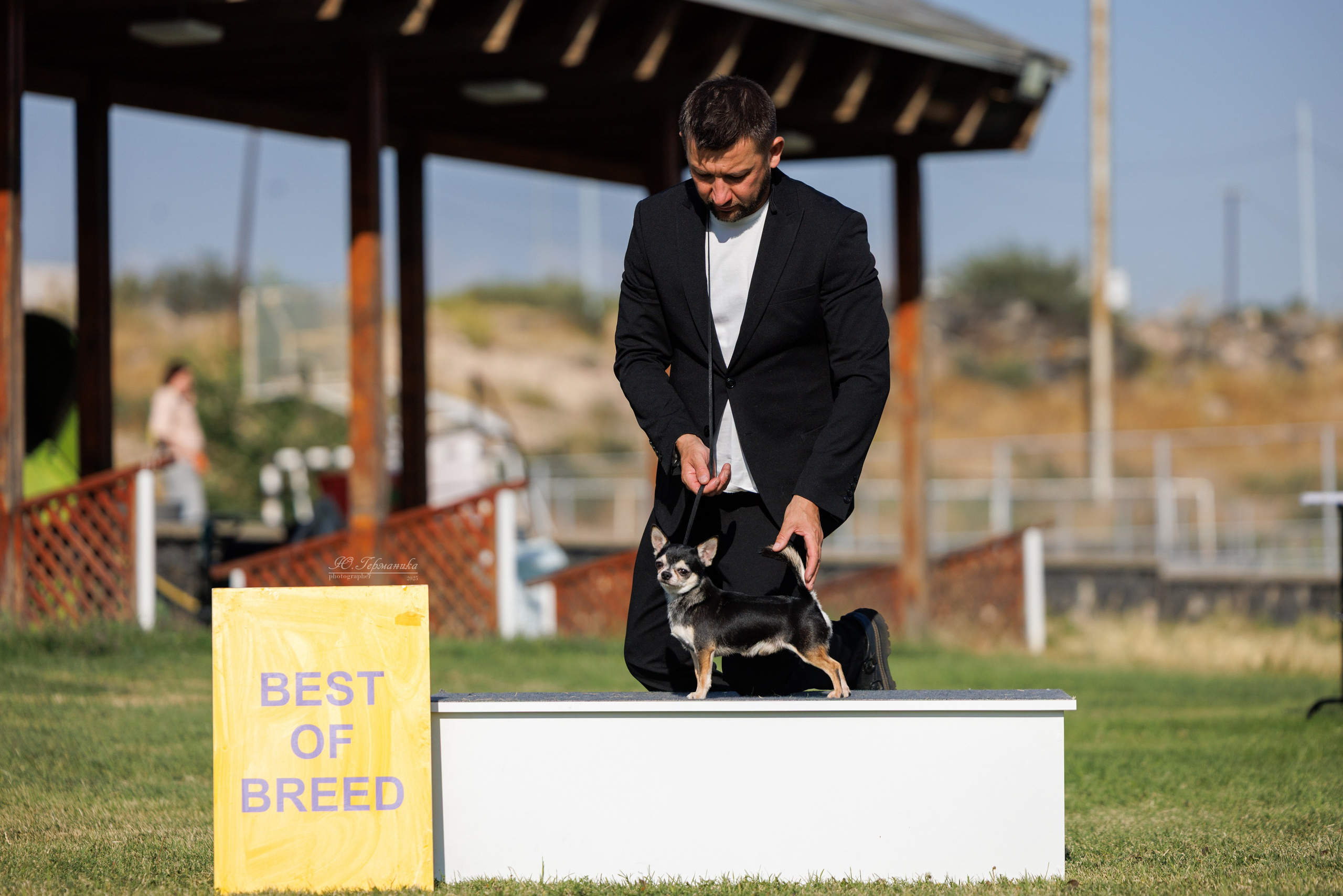 Ереван 3хCACIB 23-25.06.2025. Фотограф-анималист Юлия Германика