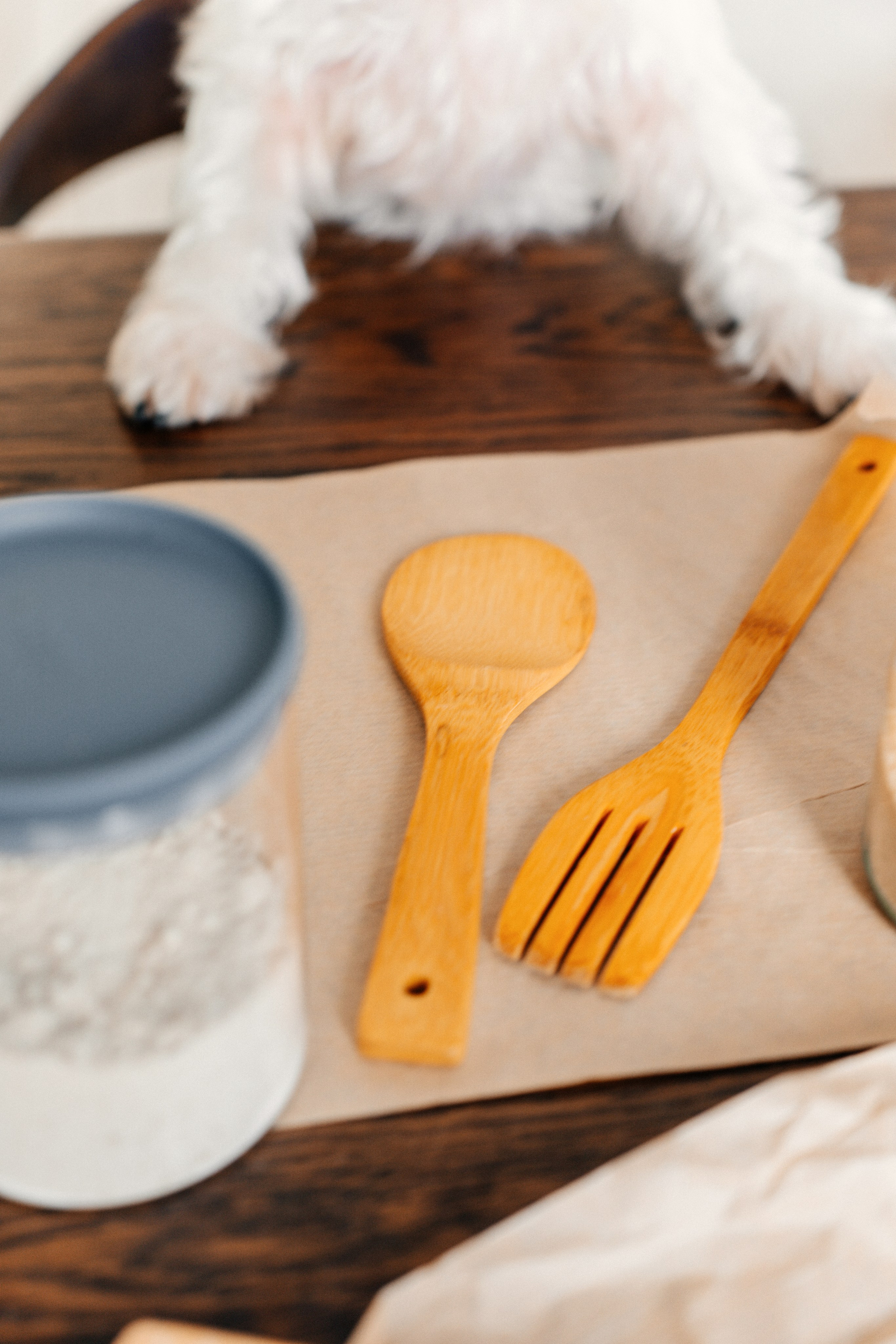 Красота хвостатых глазами хозяйки. Ваш семейный фотограф в Минске — Вика Трегубова