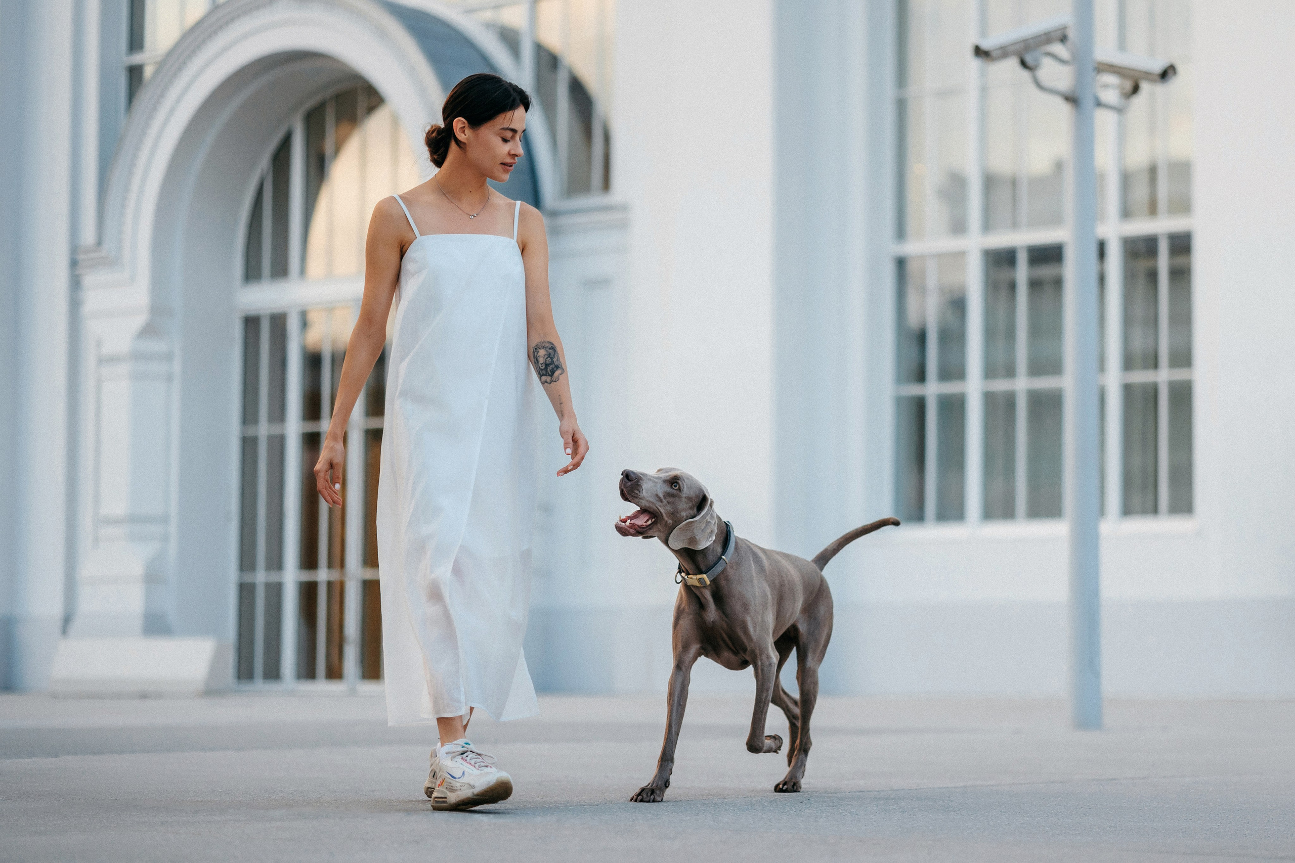 Соня и Майли. Фотограф-анималист Елена Радченко, Москва