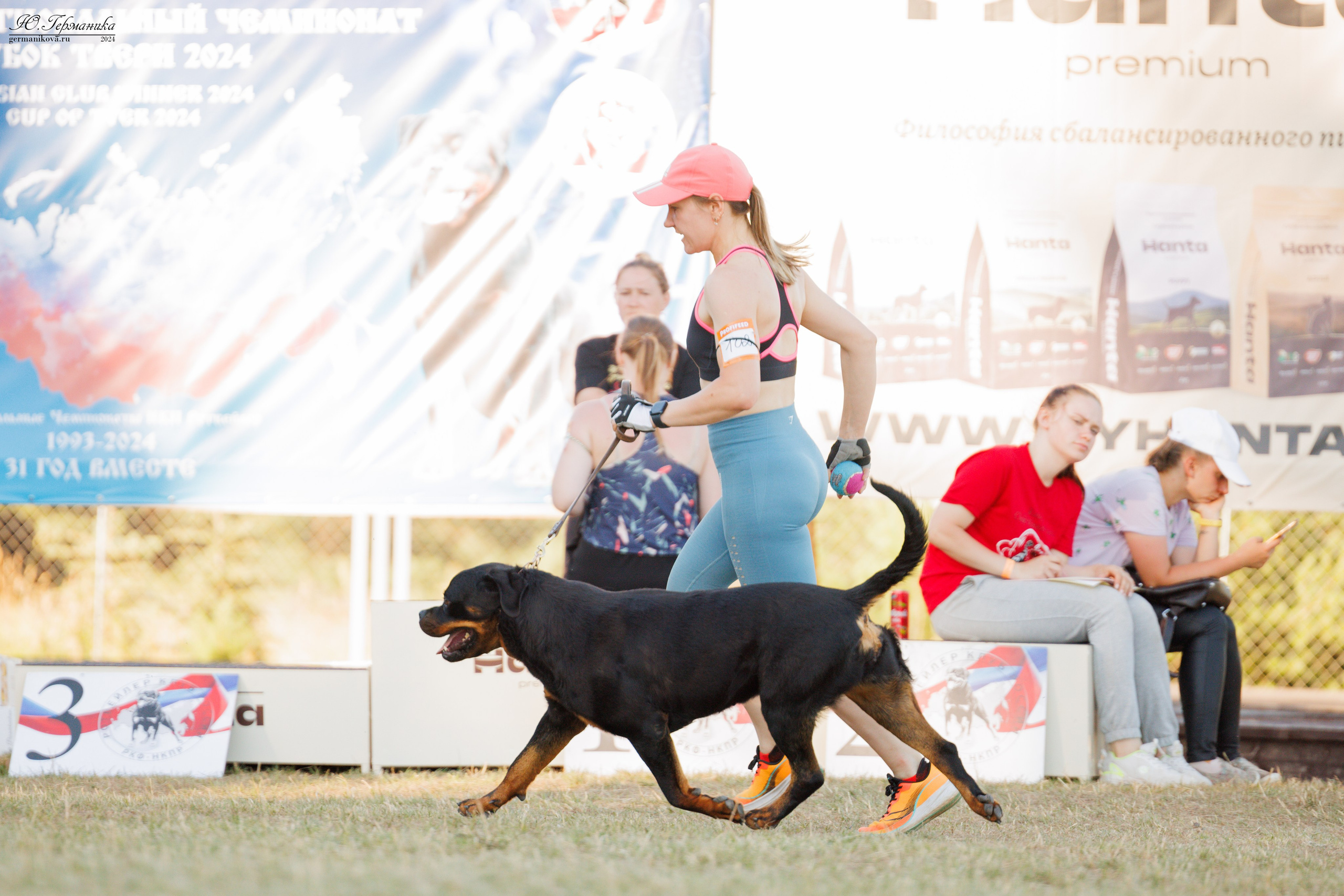 ПК и КЧК ротвейлеры Тверь 6-7.07.2024. Фотограф-анималист Юлия Германика