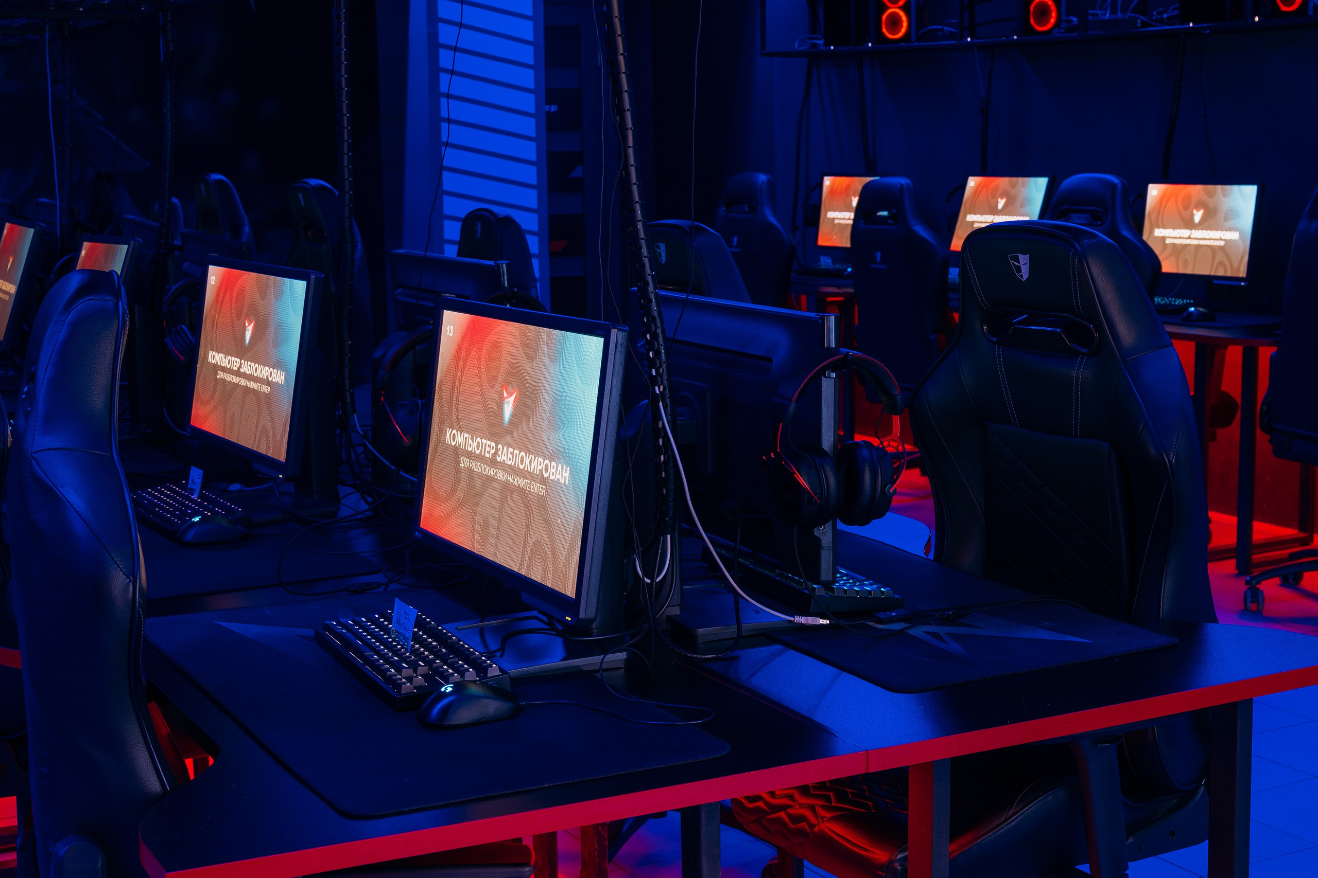 Компьютерный клуб «Вертикаль». Свадебный фотограф Пенза