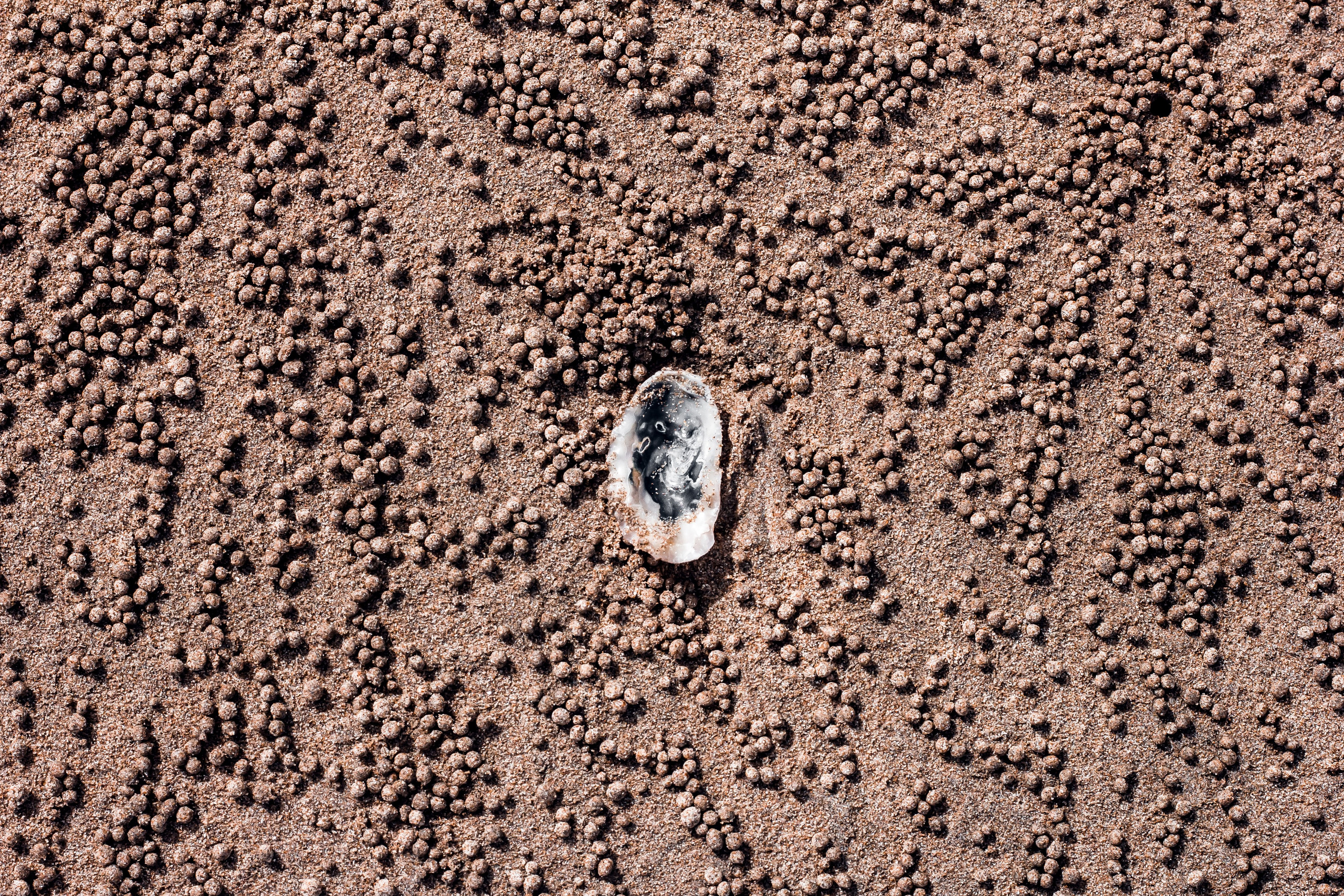 Sri Lanka. Art Photographer