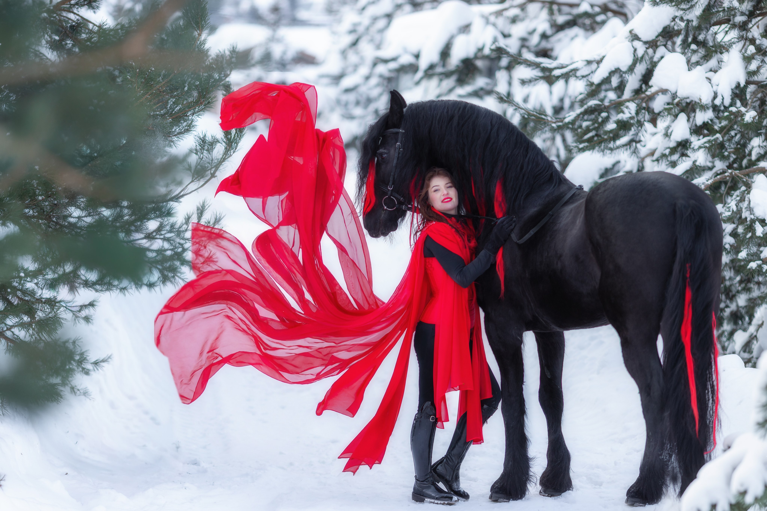Фотосессия с лошадью зимой. Фотосессии с лошадьми в Москве от фотографа Кутейниковой Светланы