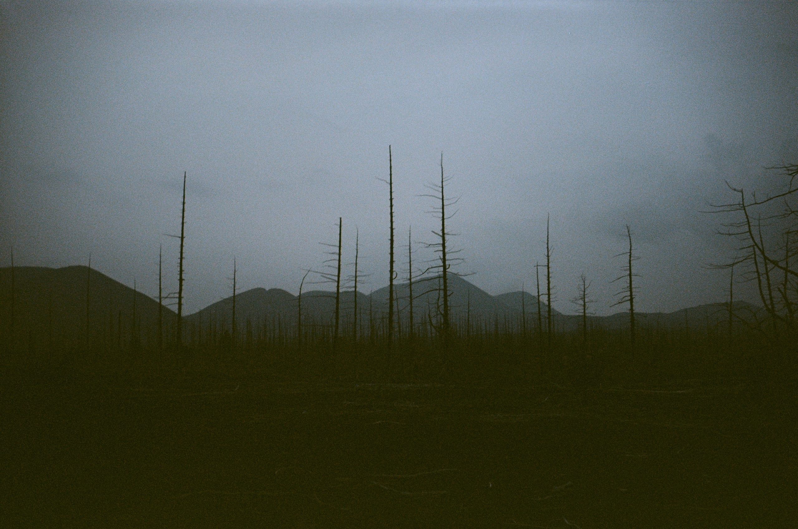 Камчатка на пленку. Travel-фотограф Ирина Милинцова