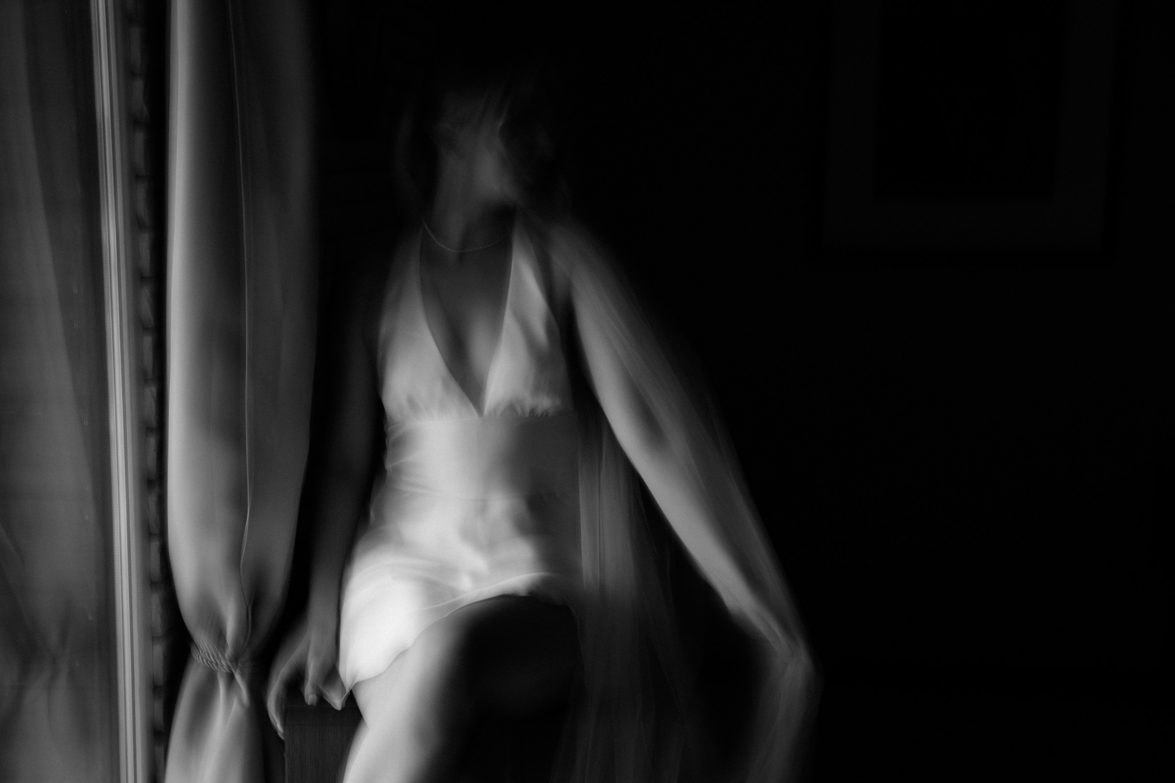 Свадьба пес и котики. Dima Lemeshevsky