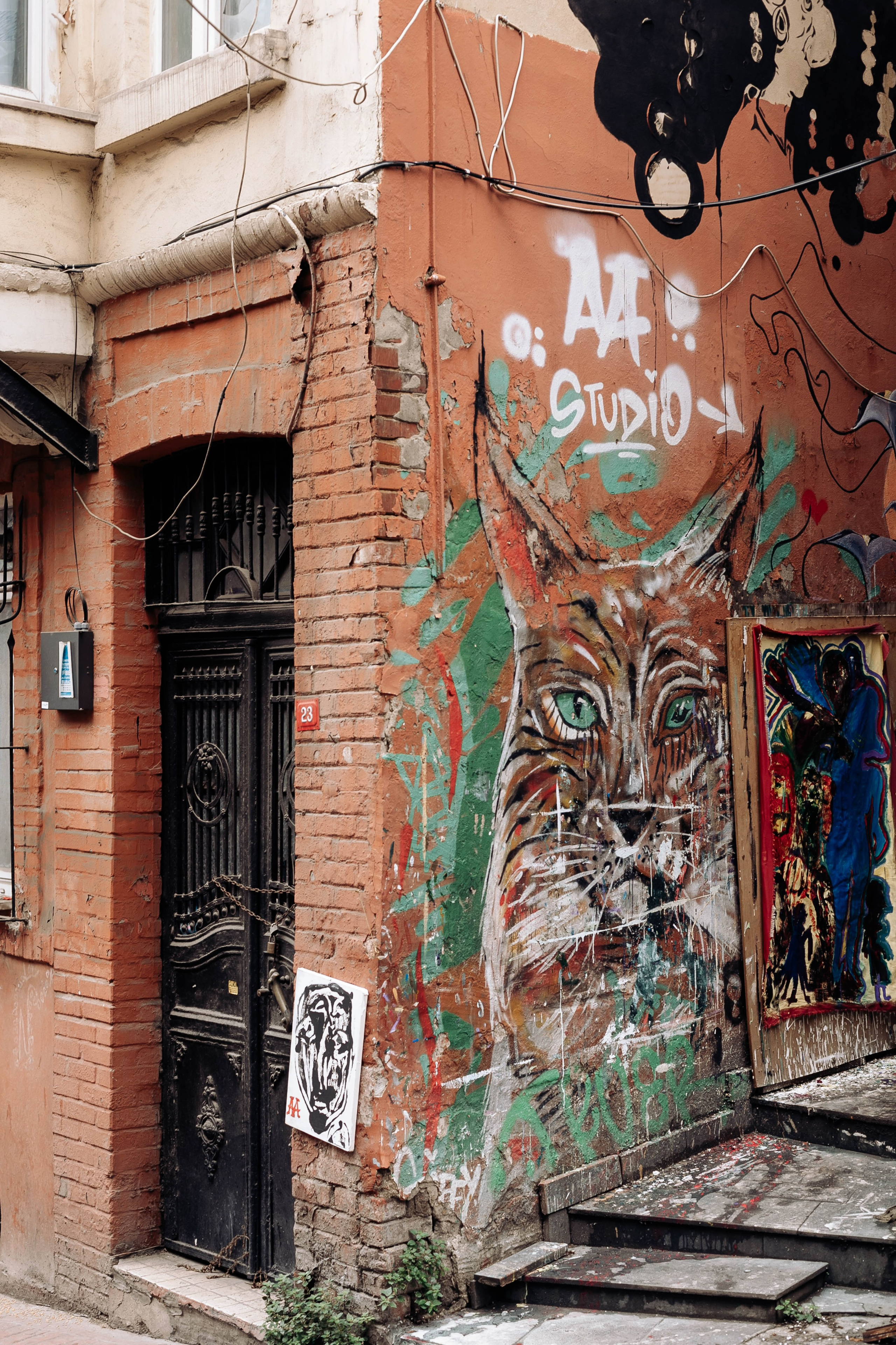 Istanbul. Katerina Spekhova