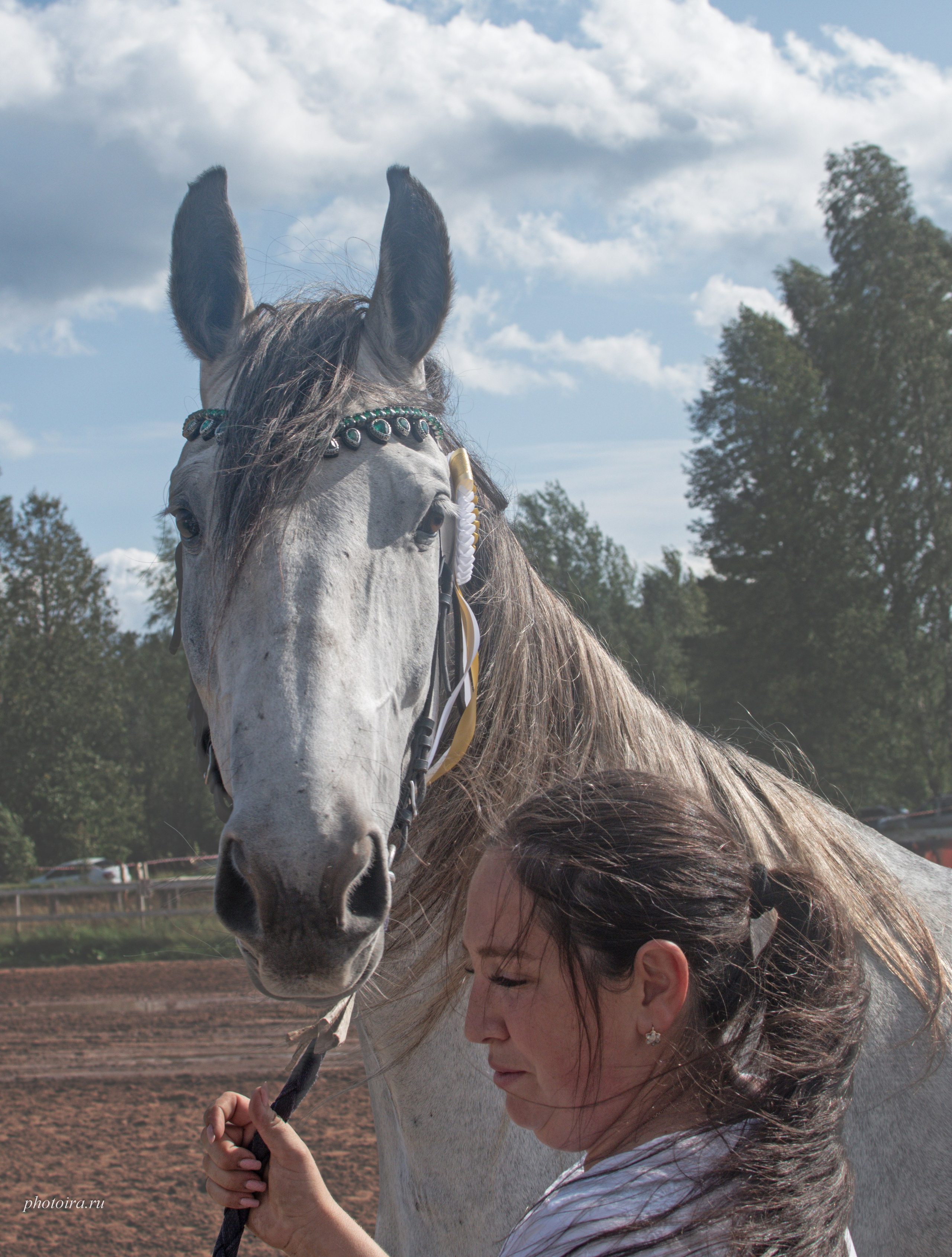 Мероприятия. Семейный фотограф в г. Гатчина
