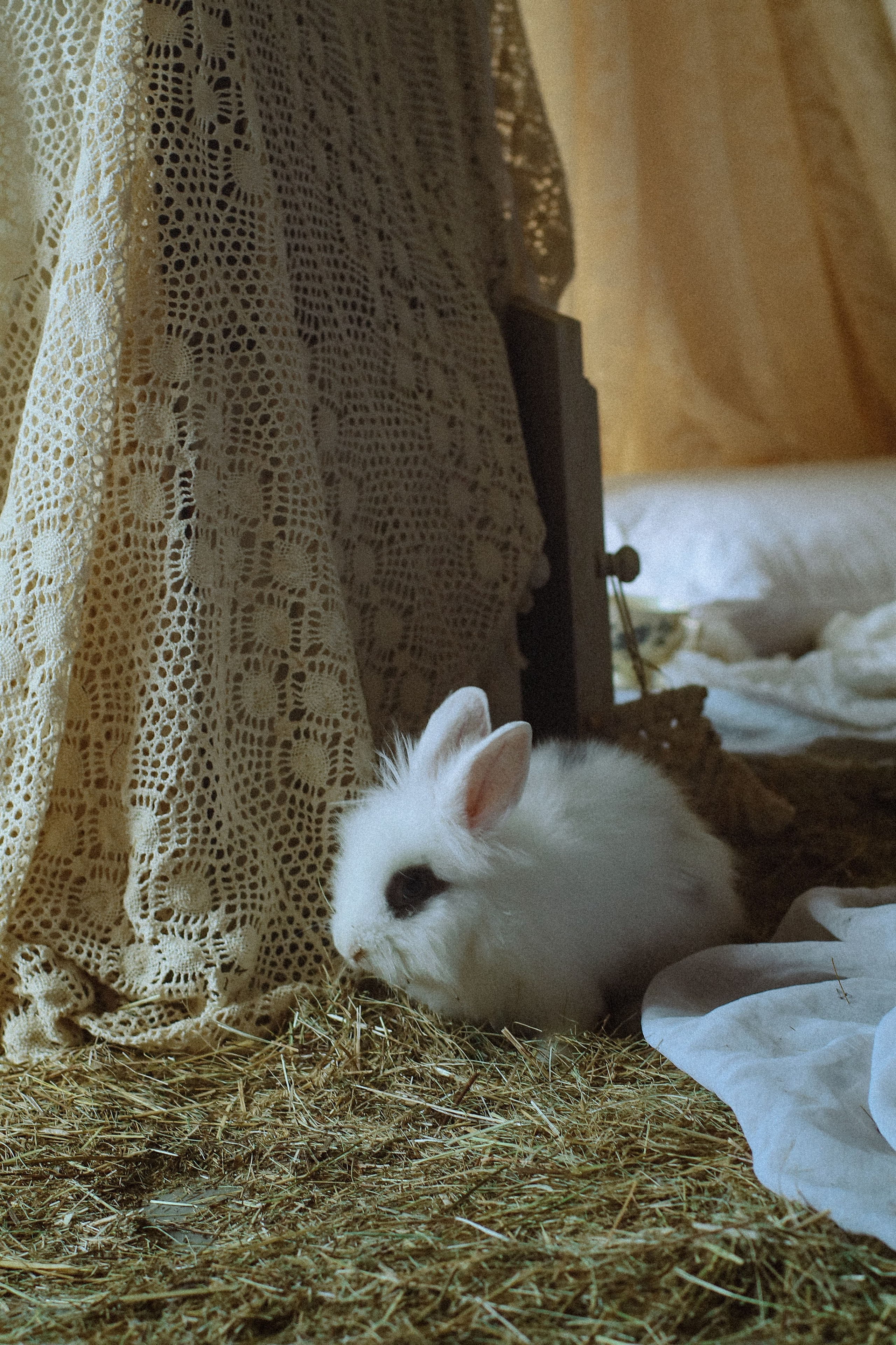 Детская семейная фотосессия. Фотограф и видеограф Анастасия Витюкова | Екатеринбург