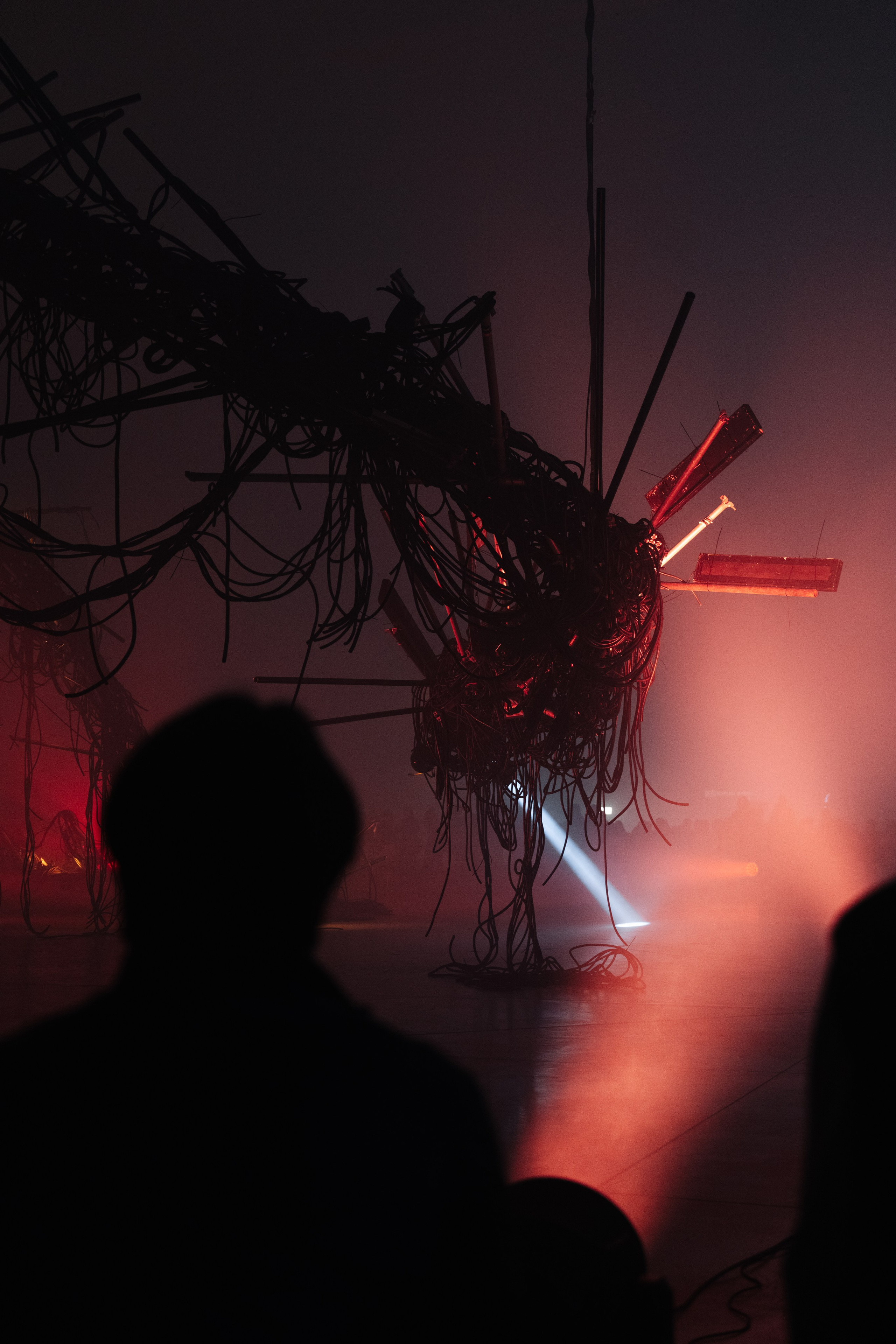 PERFORMA, The Hour of the Horse. @tomrus: Рустам Шагиморданов — фотограф