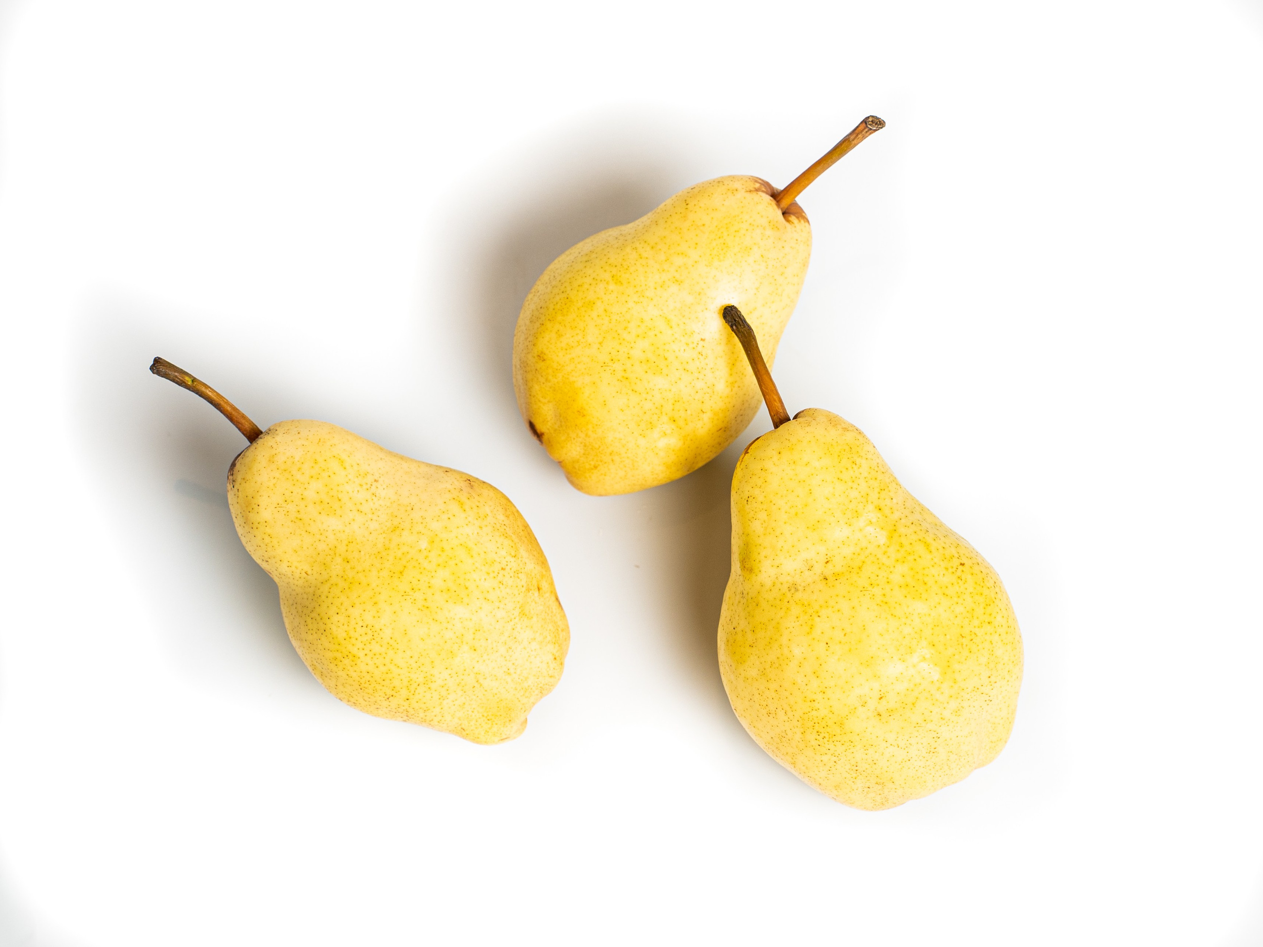 Яндекс Маркет. Предметный и фуд-фотограф в Москве Анна Царенко