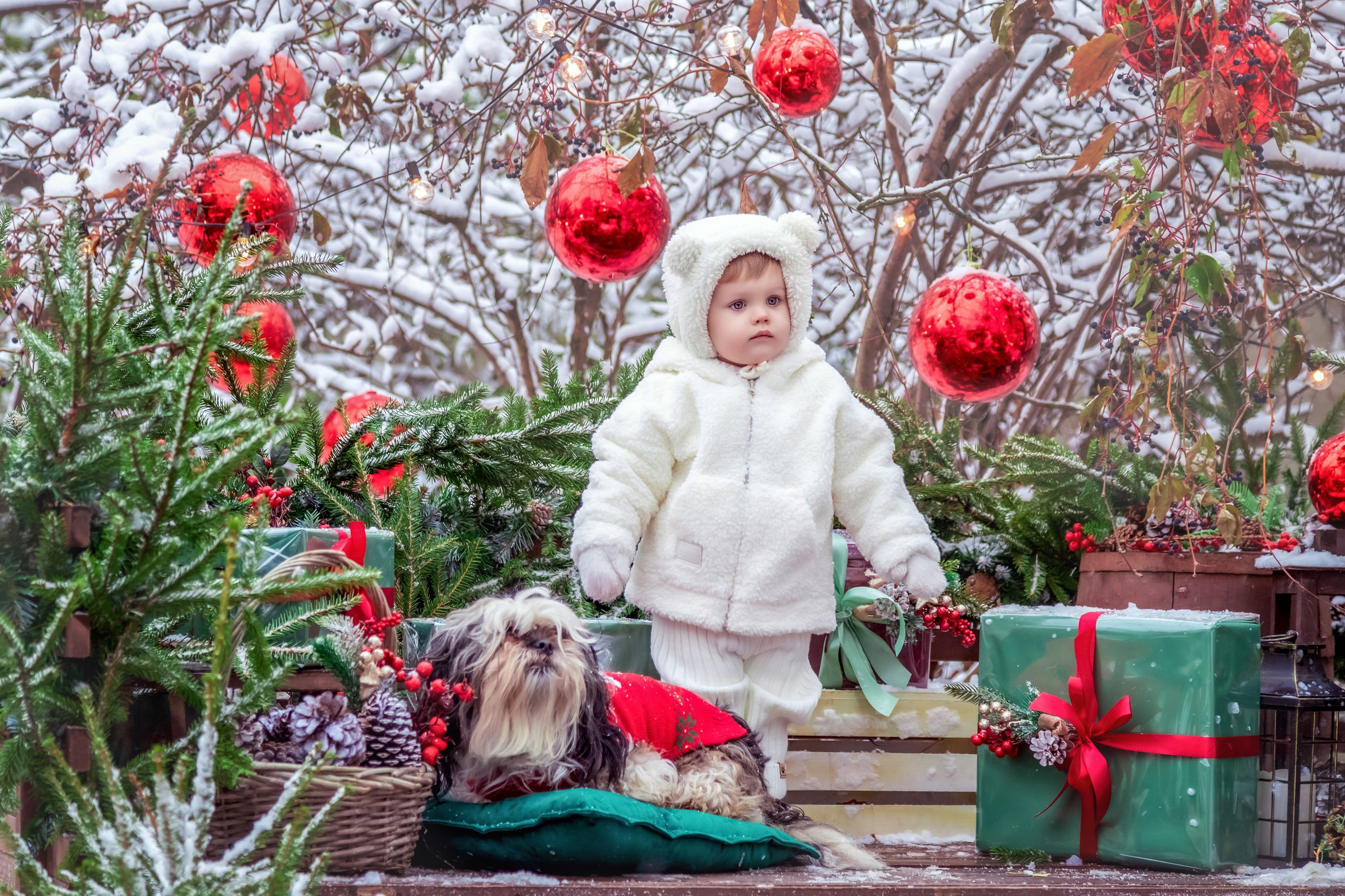НОВЫЙ ГОД и Рождество УЛИЧНЫЕ локации. Фотограф Алина Лебедь