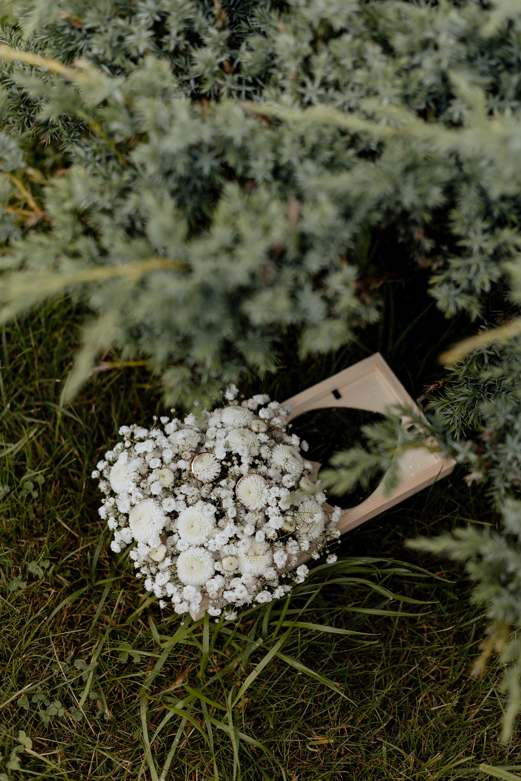 Ксения и Сергей. Свадебный фотограф Анастасия Пелевина