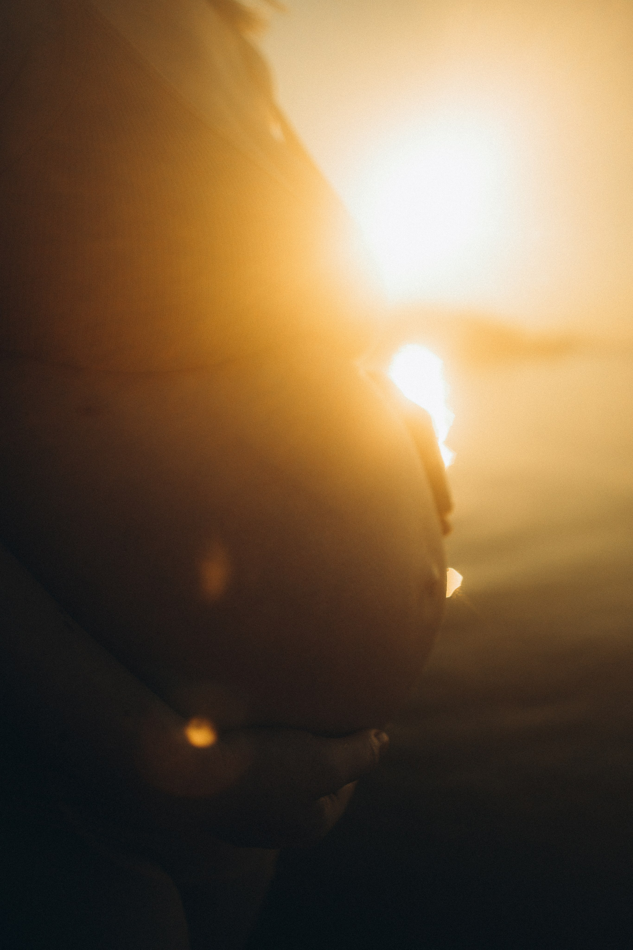 Беременность. Семейный фотограф Новосибирск Фотограф на выписку Новосибирск