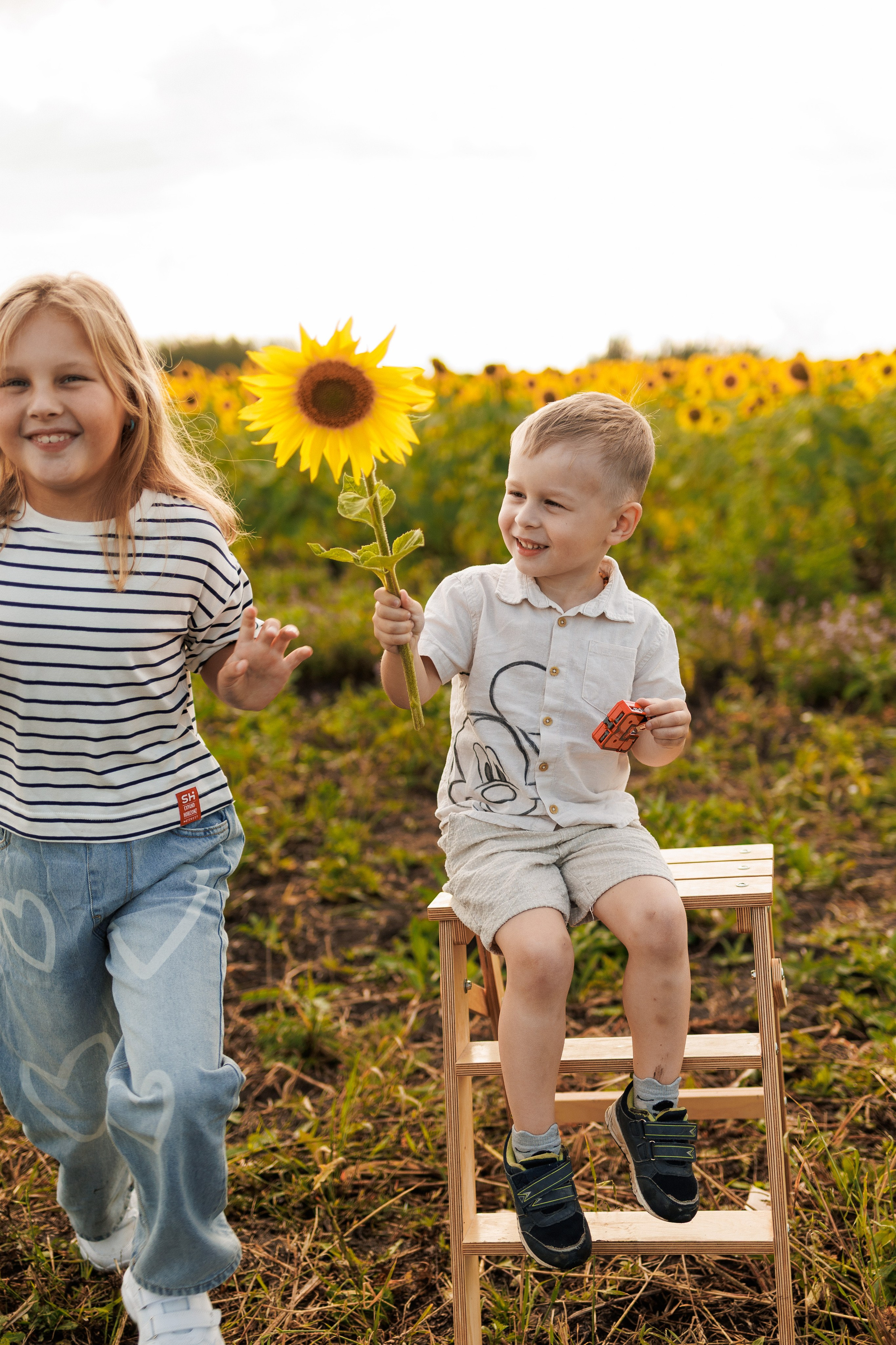 В поле подсолнухов. Семейный фотограф г. Тюмень