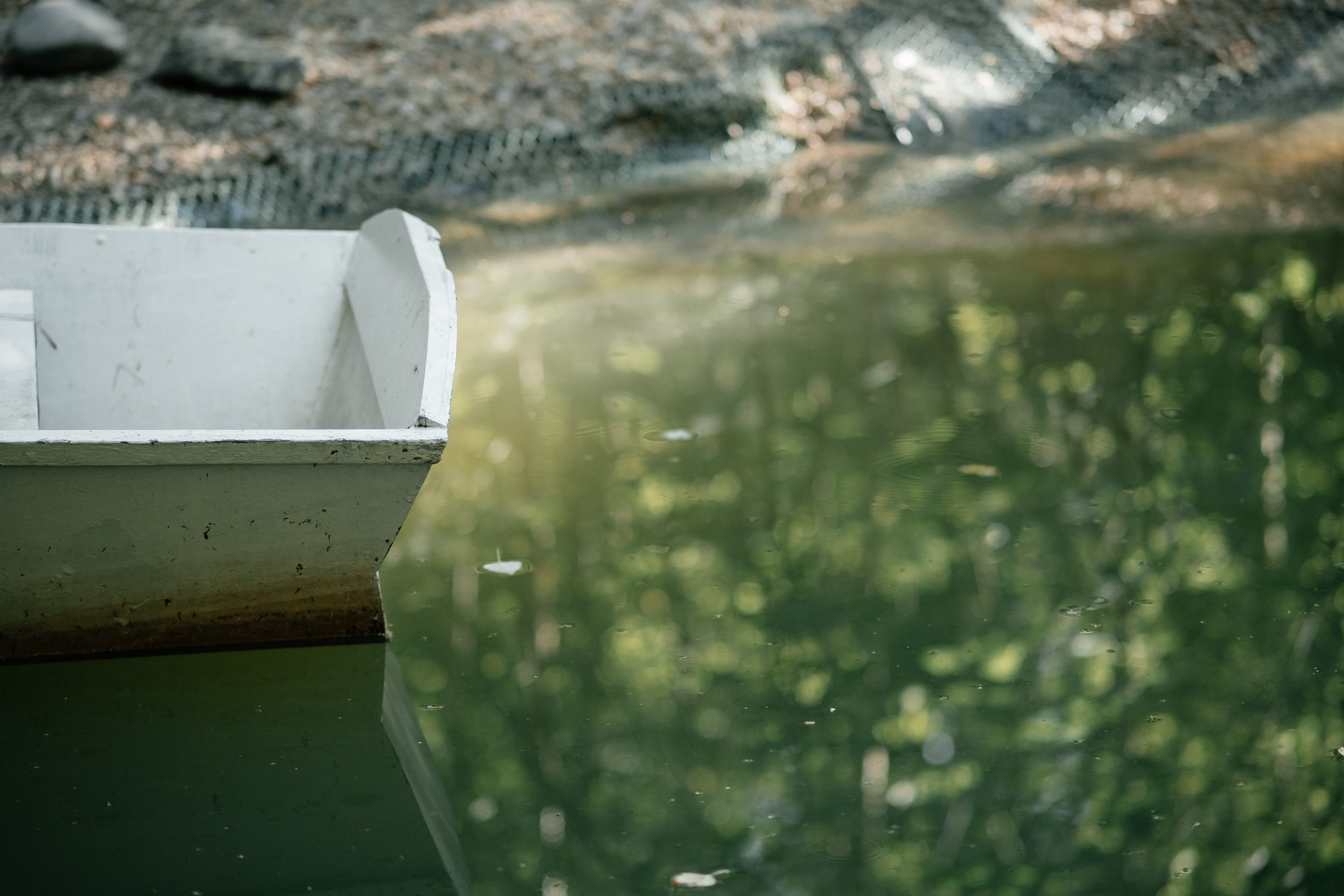 Свадебный фотограф Москва Санкт-Петербург СПБ
