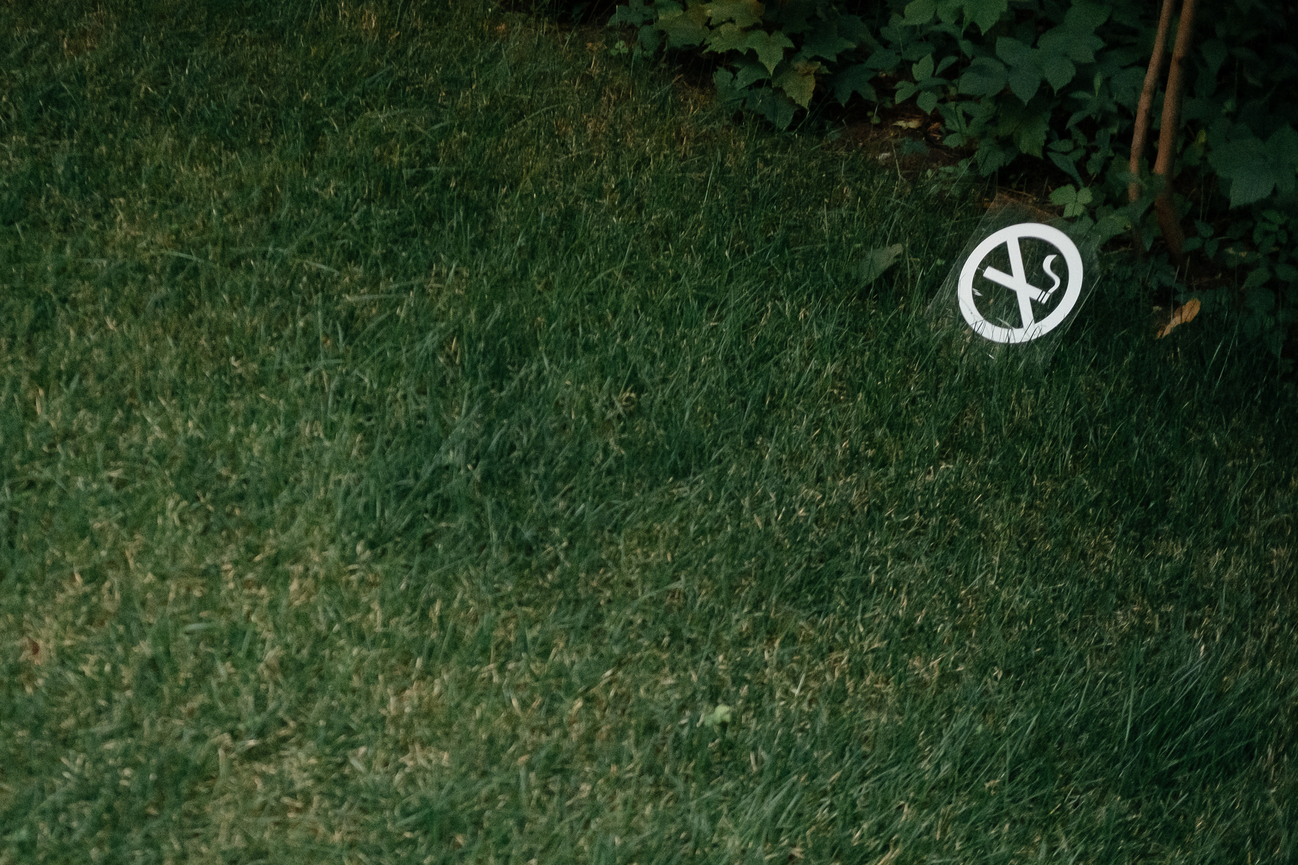 Свадебный фотограф Москва Санкт-Петербург СПБ