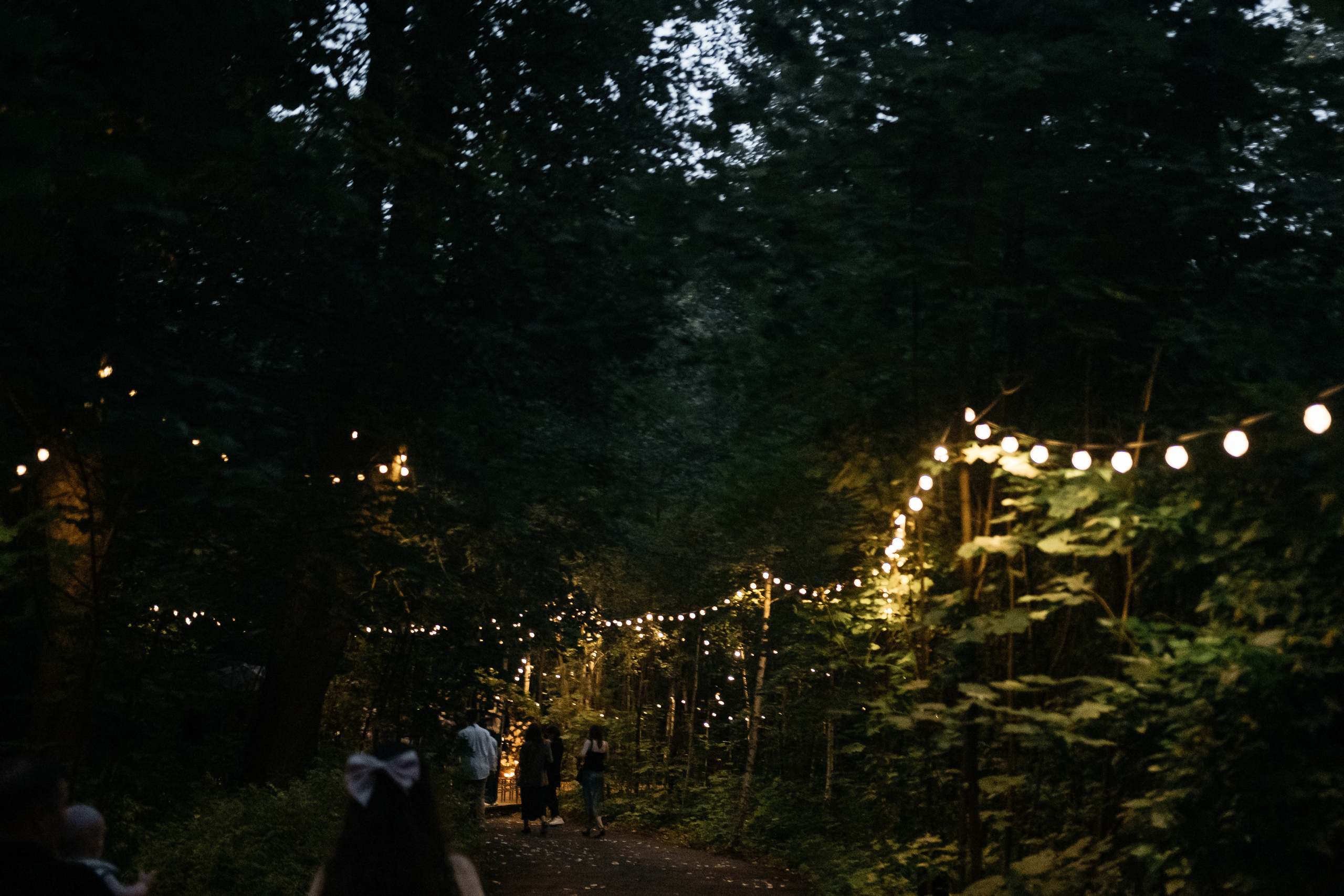 Свадебный фотограф Москва Санкт-Петербург СПБ