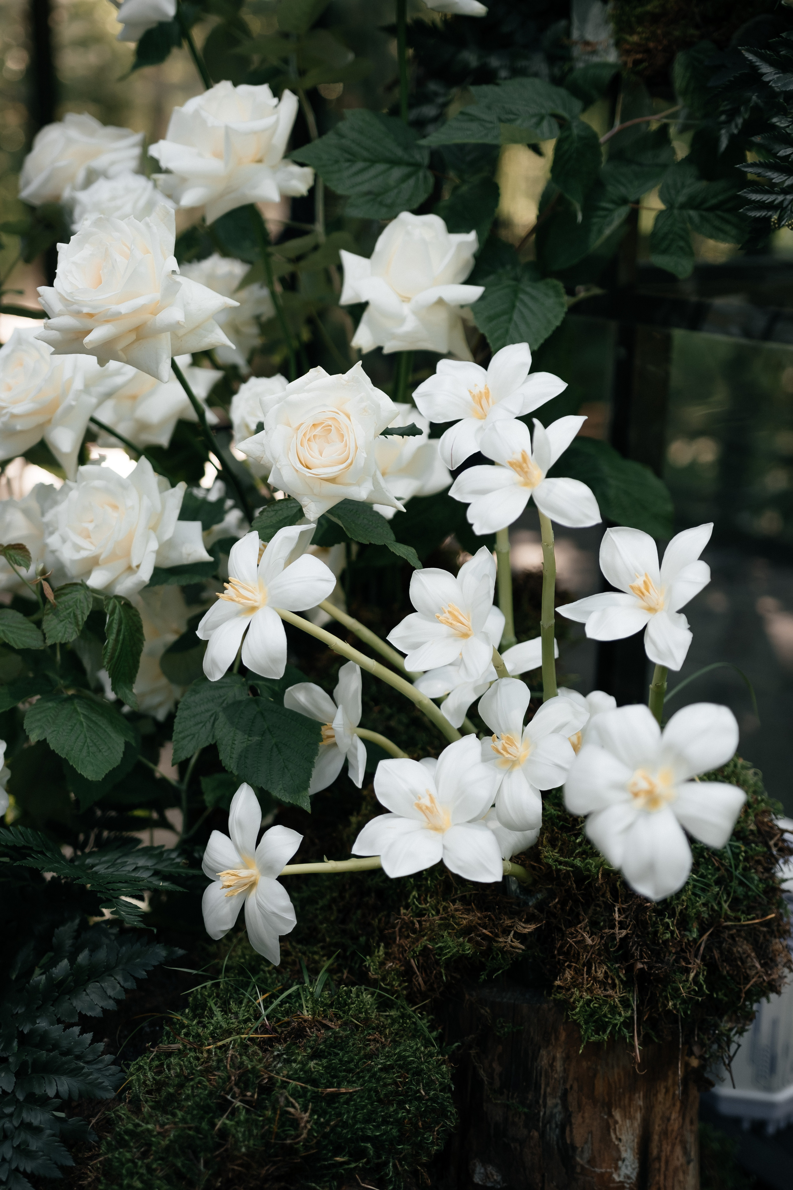 Свадебный фотограф Москва Санкт-Петербург СПБ
