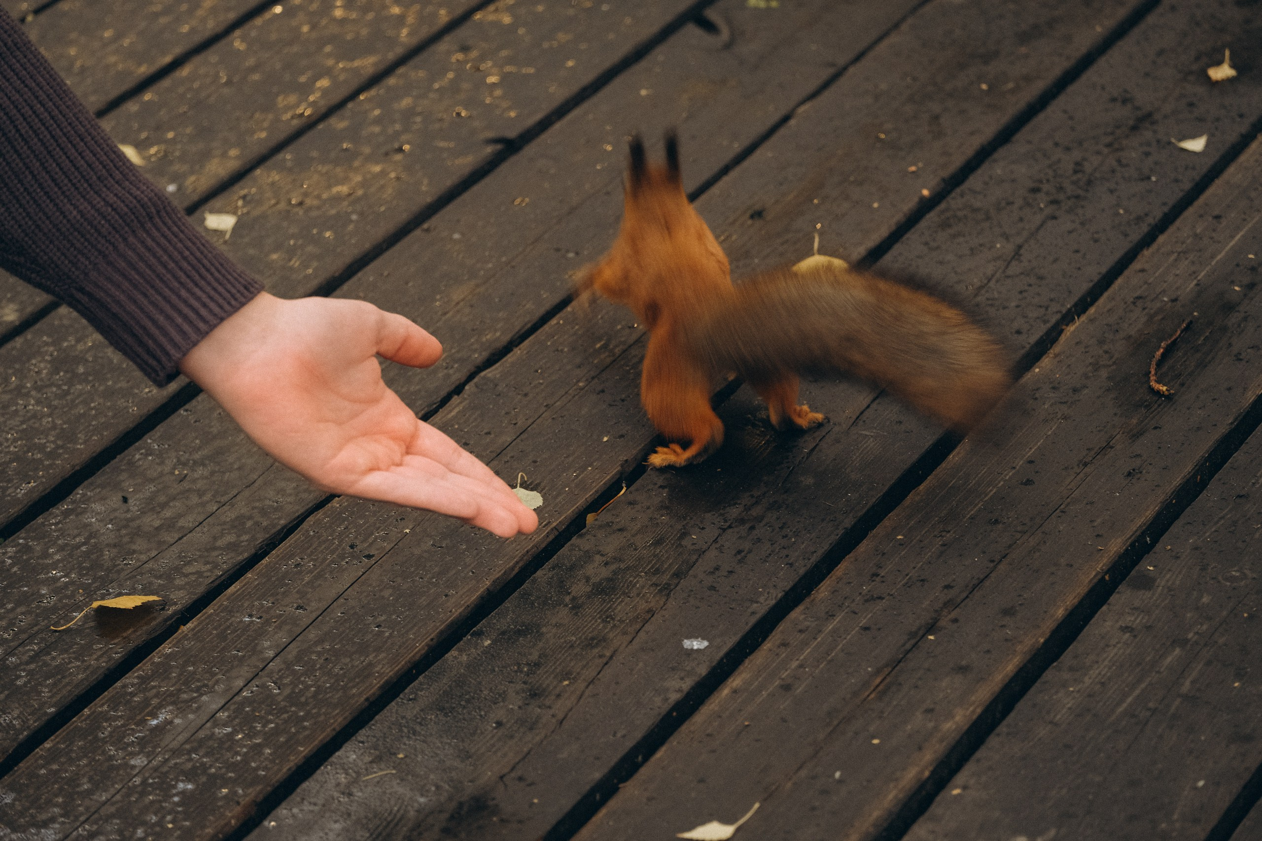 День рождения малышки. Профессиональный фотограф, Санкт-Петербург — Виктория Богомолова