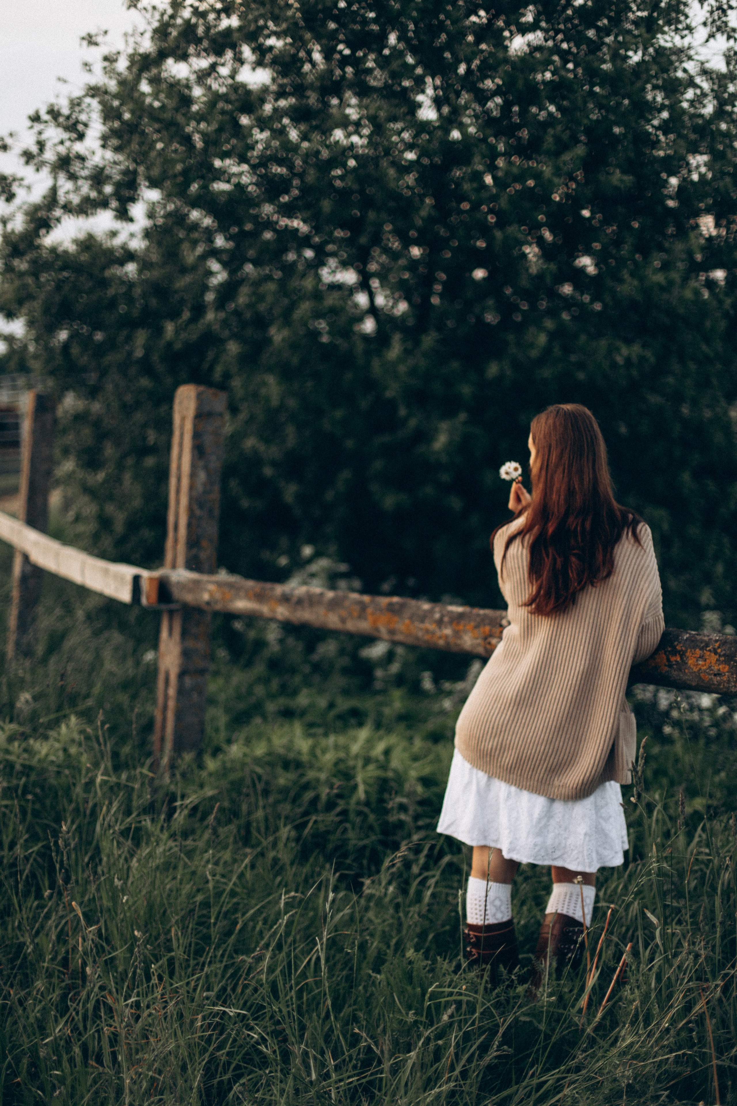 Что-то на закатном. Репортажный и детский фотограф в Минске