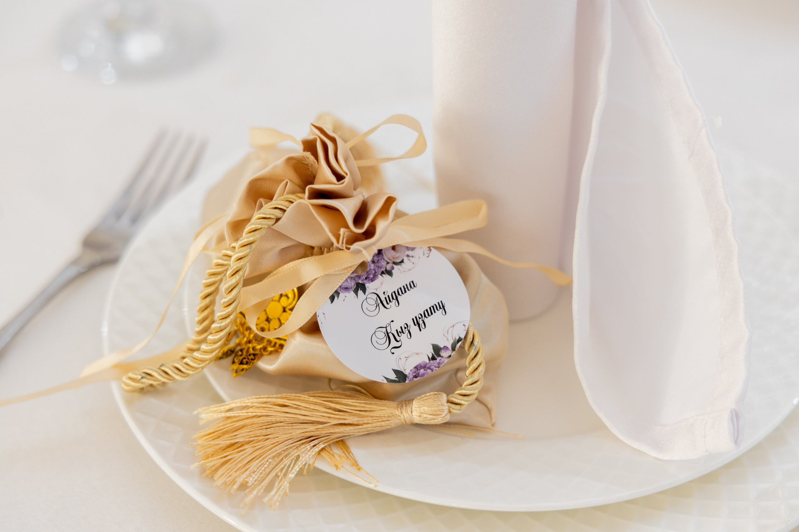 Айдана УЗАТУ