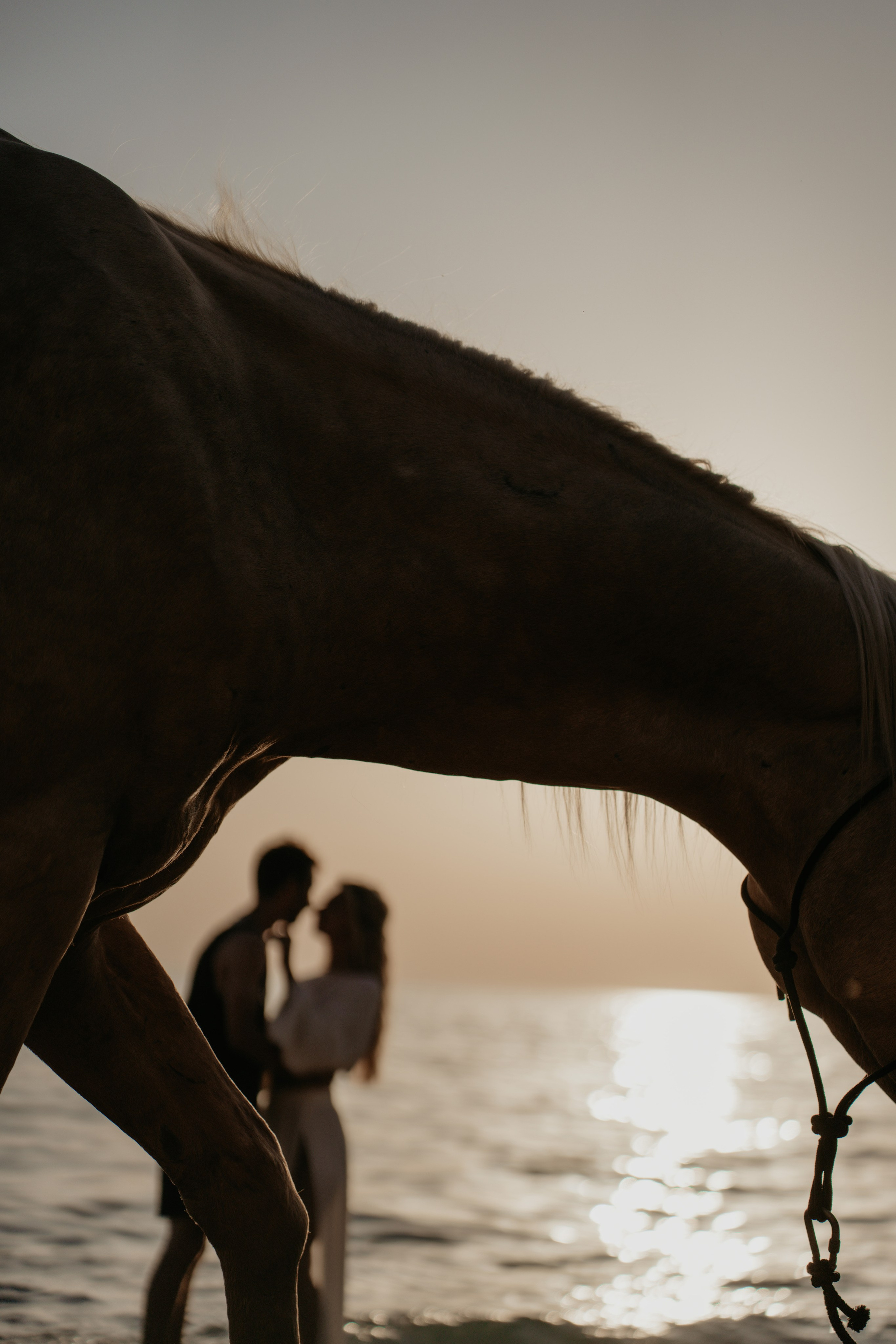 Anna. Фотограф и Видеограф Севастополь Крым