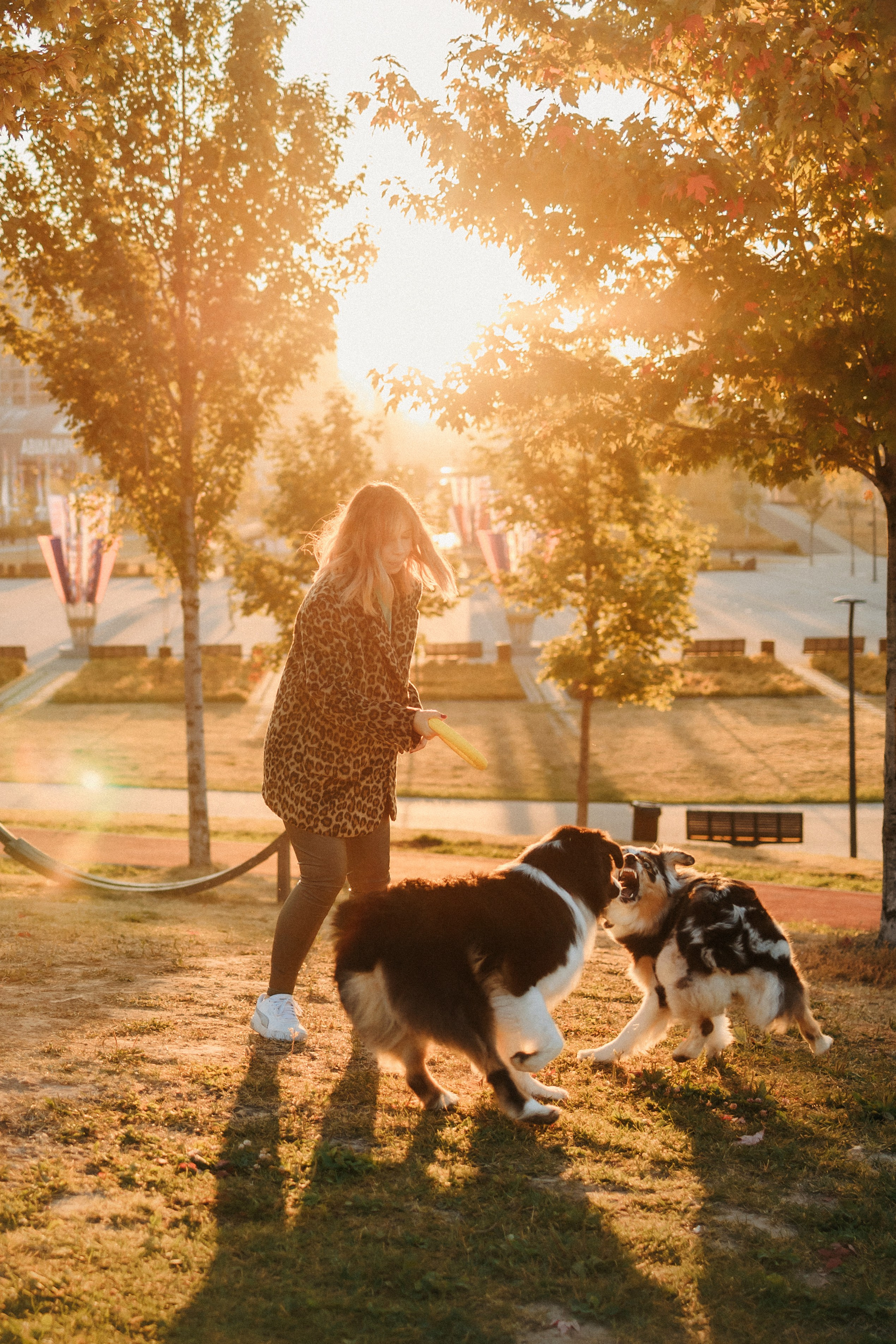 Аня, Чарли и Ева. Фотограф-анималист Елена Радченко, Москва
