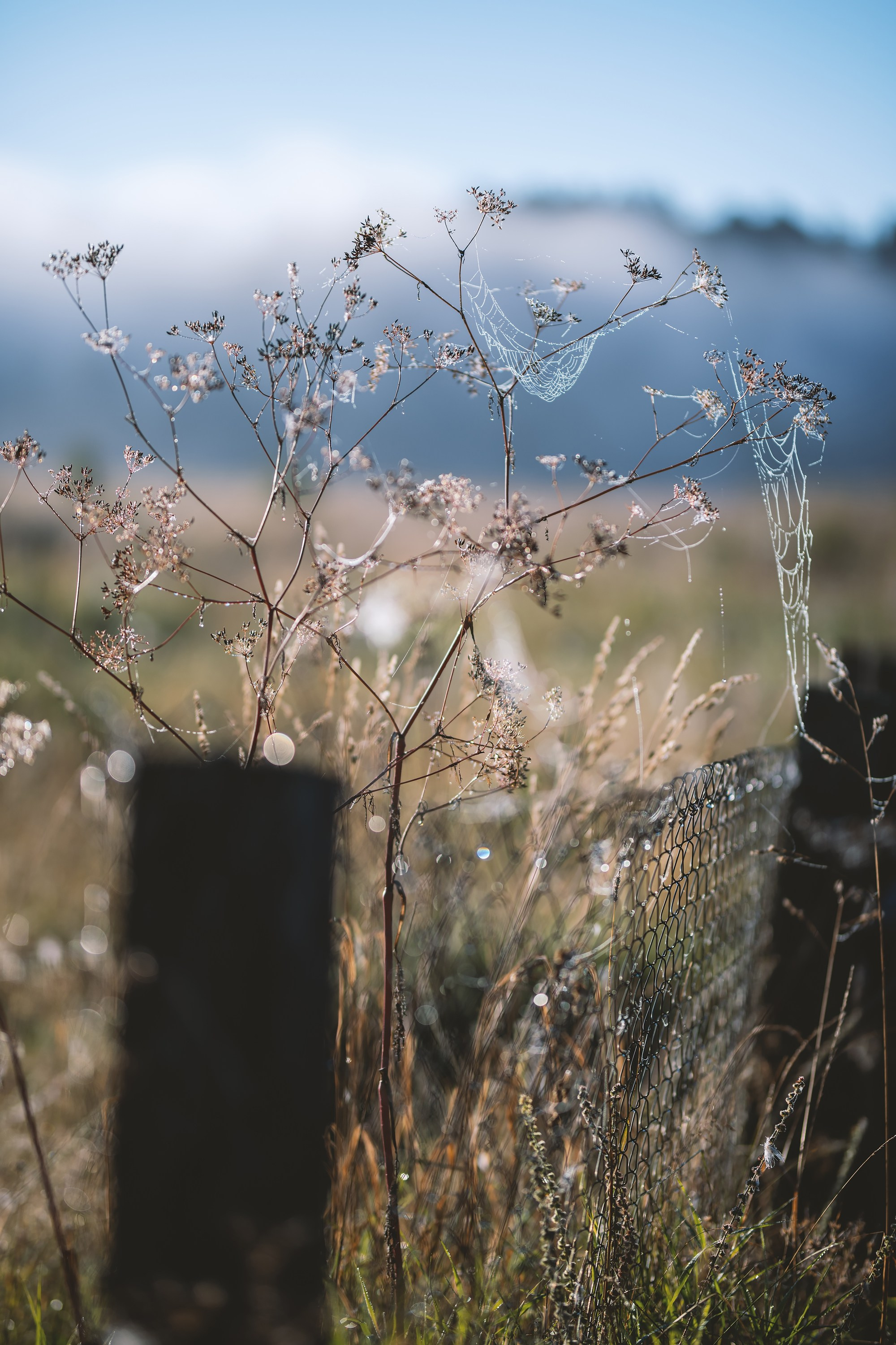 Фотографии Национальный парк Угра. Фотограф спортивные события, недвижимость, турбизнес