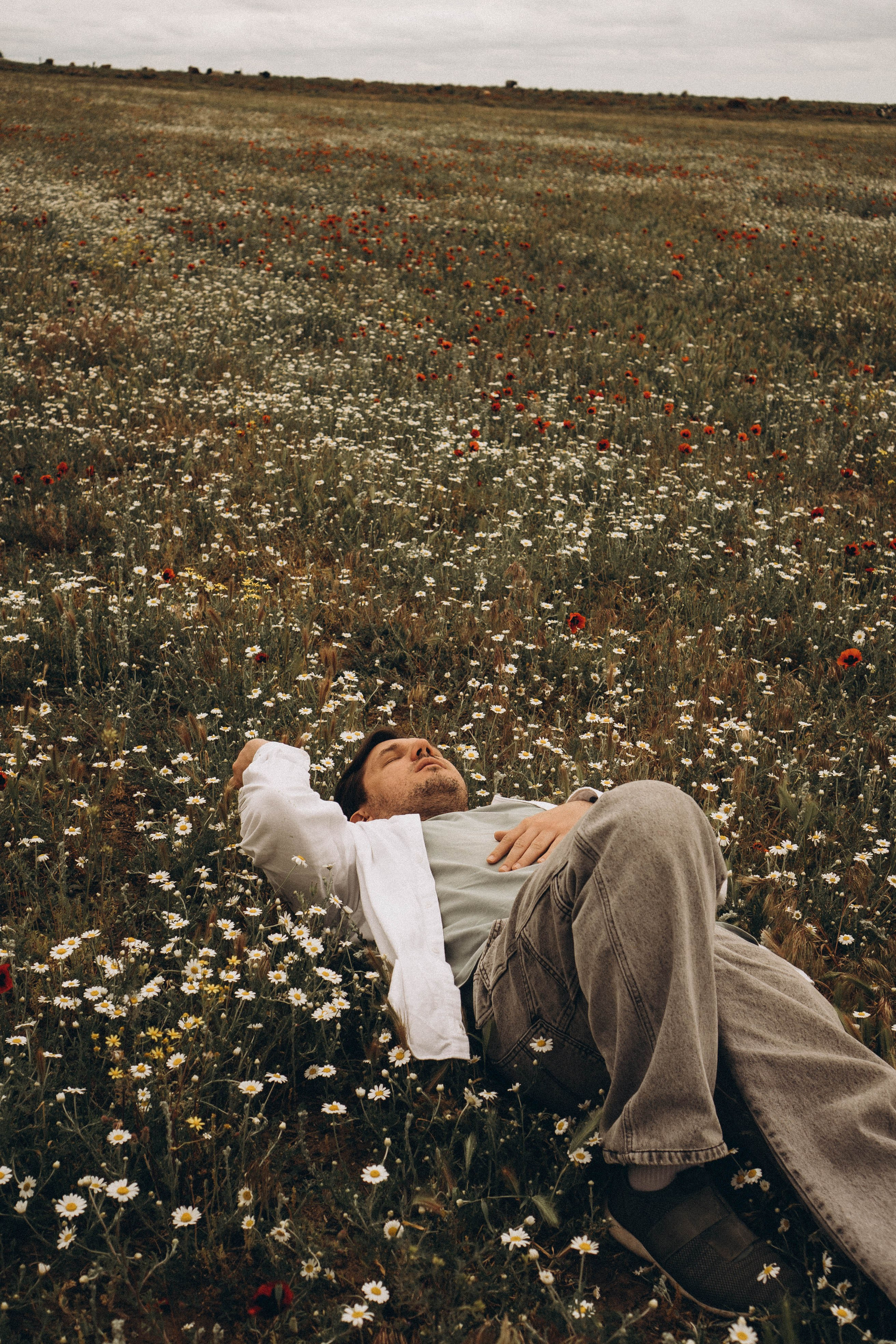 Маки. Профессиональный фотограф, Санкт-Петербург — Виктория Богомолова