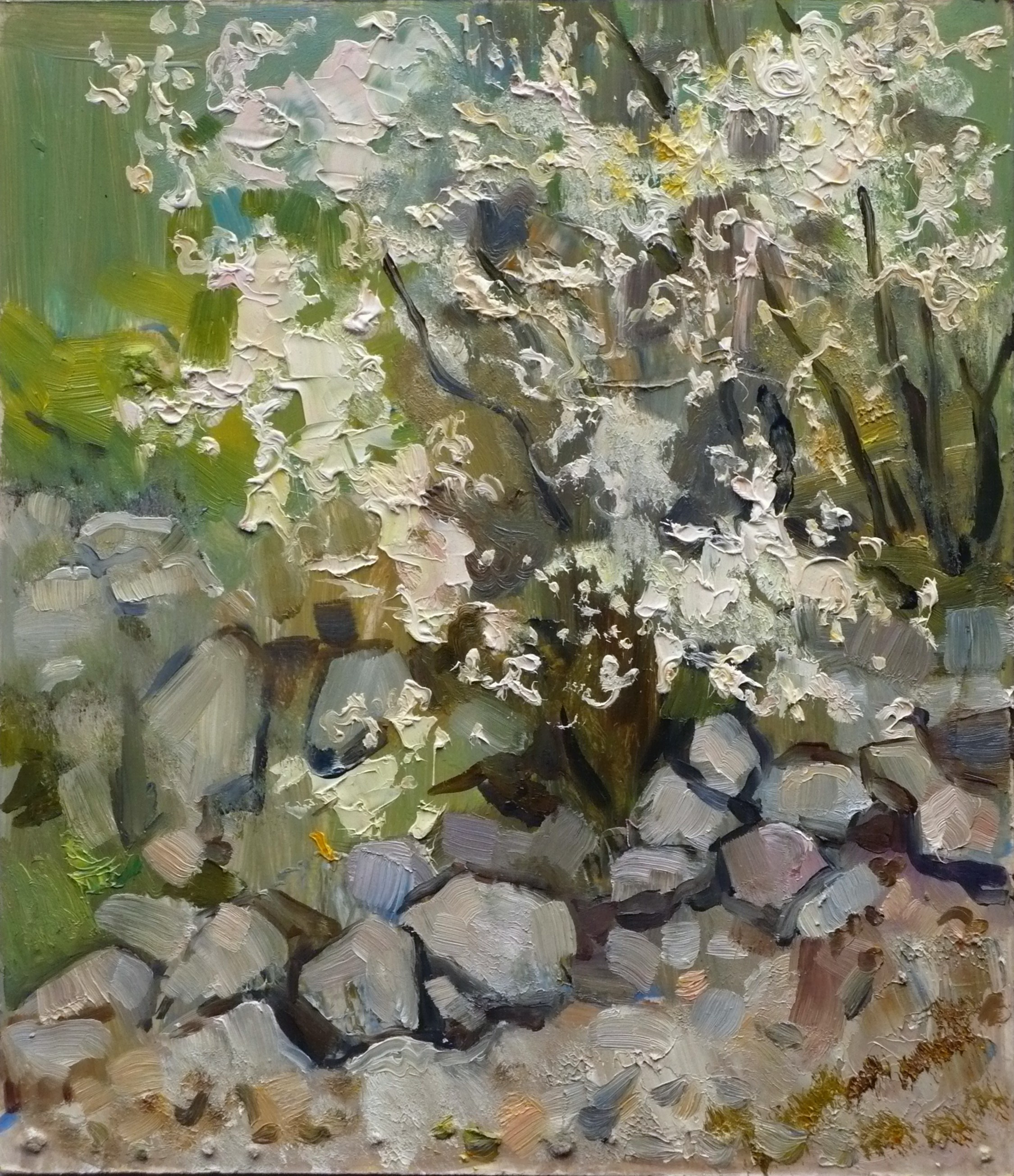 Цветущий куст и камни, живопись маслом