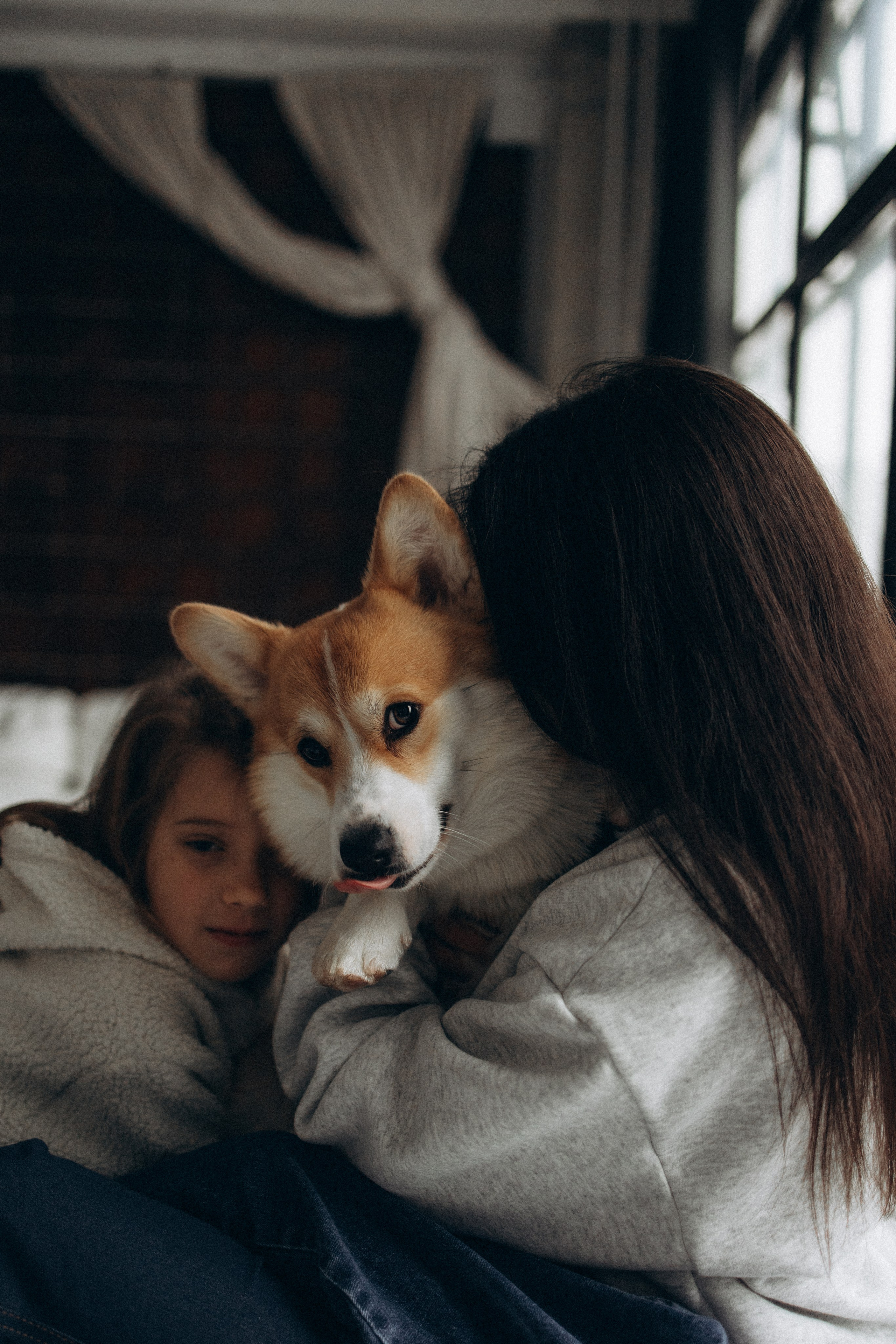 Зевс и его семья. Фотораф — анималист Мария Шистка