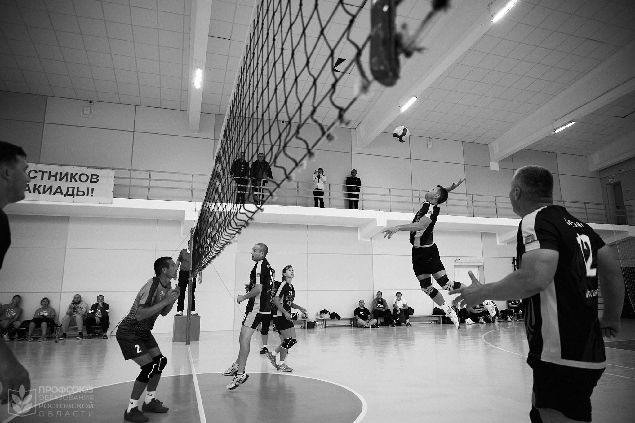 Спортивный репортаж: волейбол. Репортажный фотограф | Леонид Черков