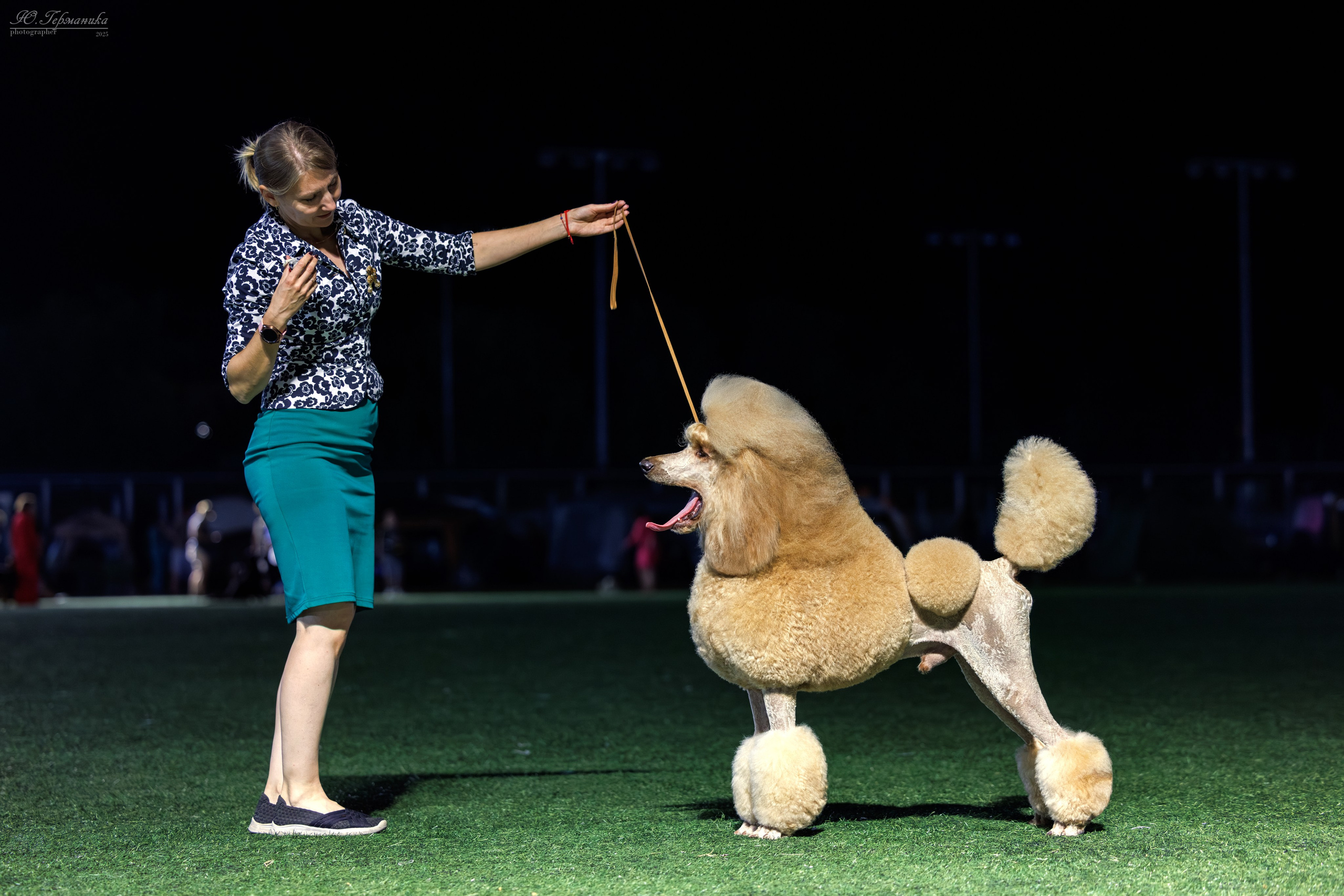 Калининград 25-27.07 Волгоград 1-3.08 2025. Фотограф-анималист Юлия Германика