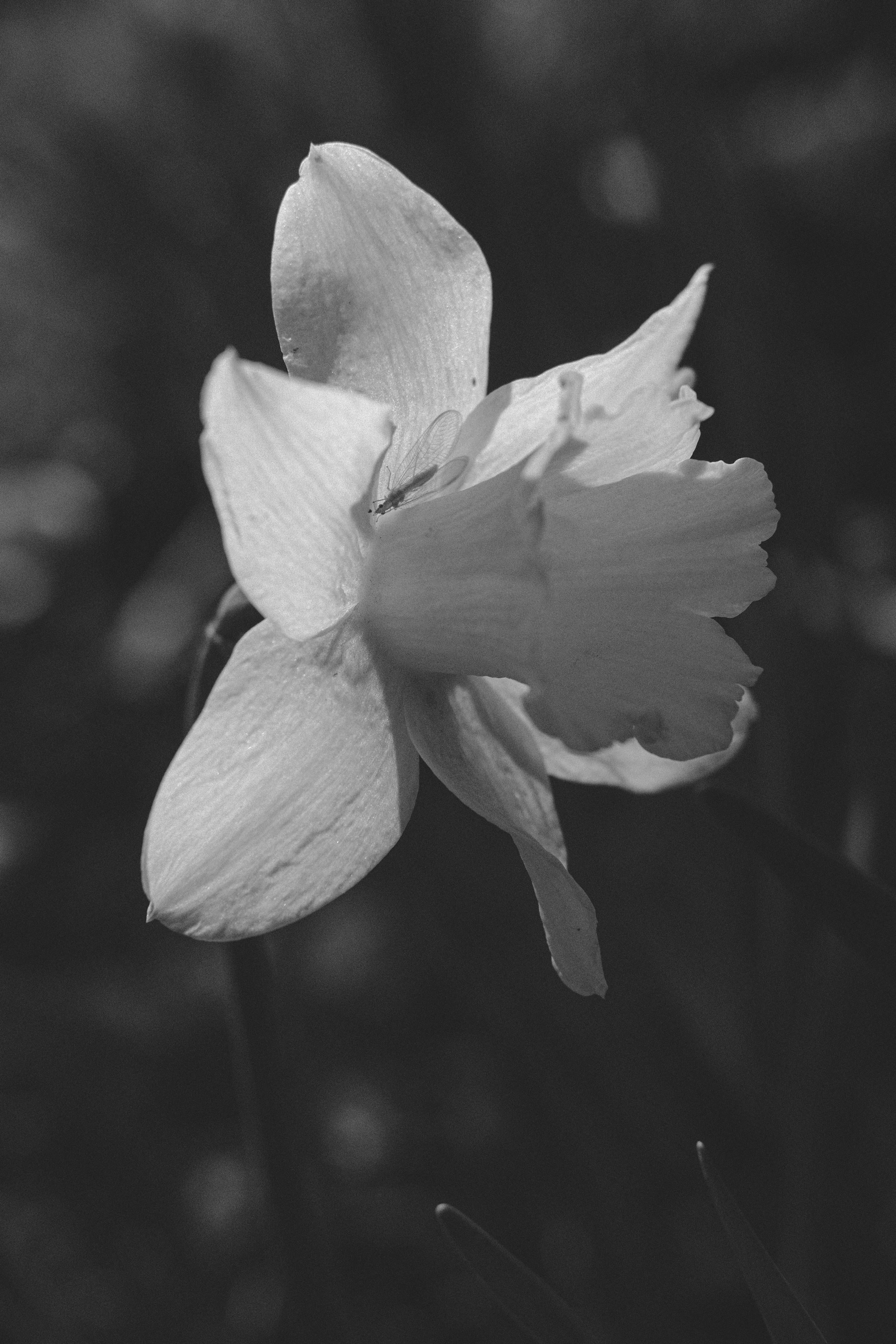 Жизнь сада. Works