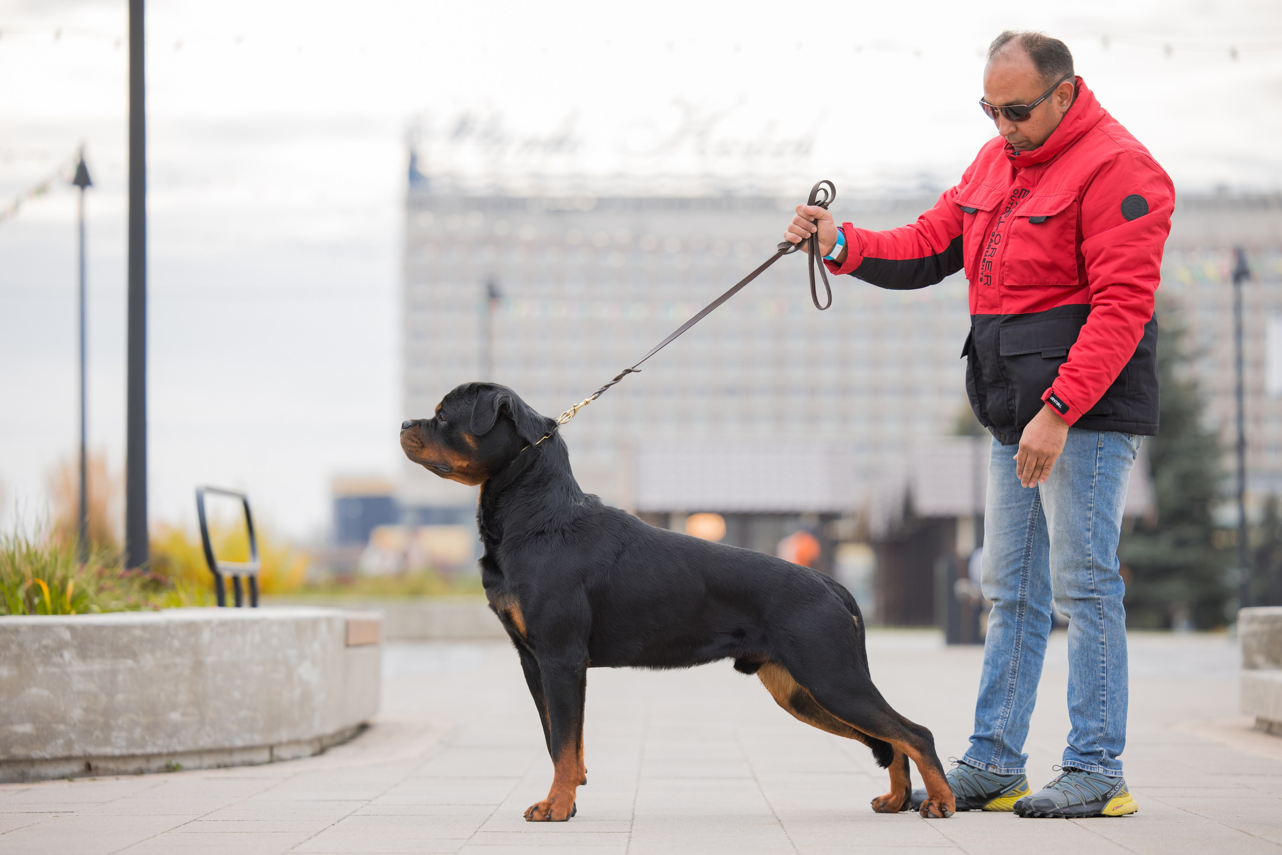 Нижний Новгород 21-22.10.2023. Фотограф-анималист Юлия Германика