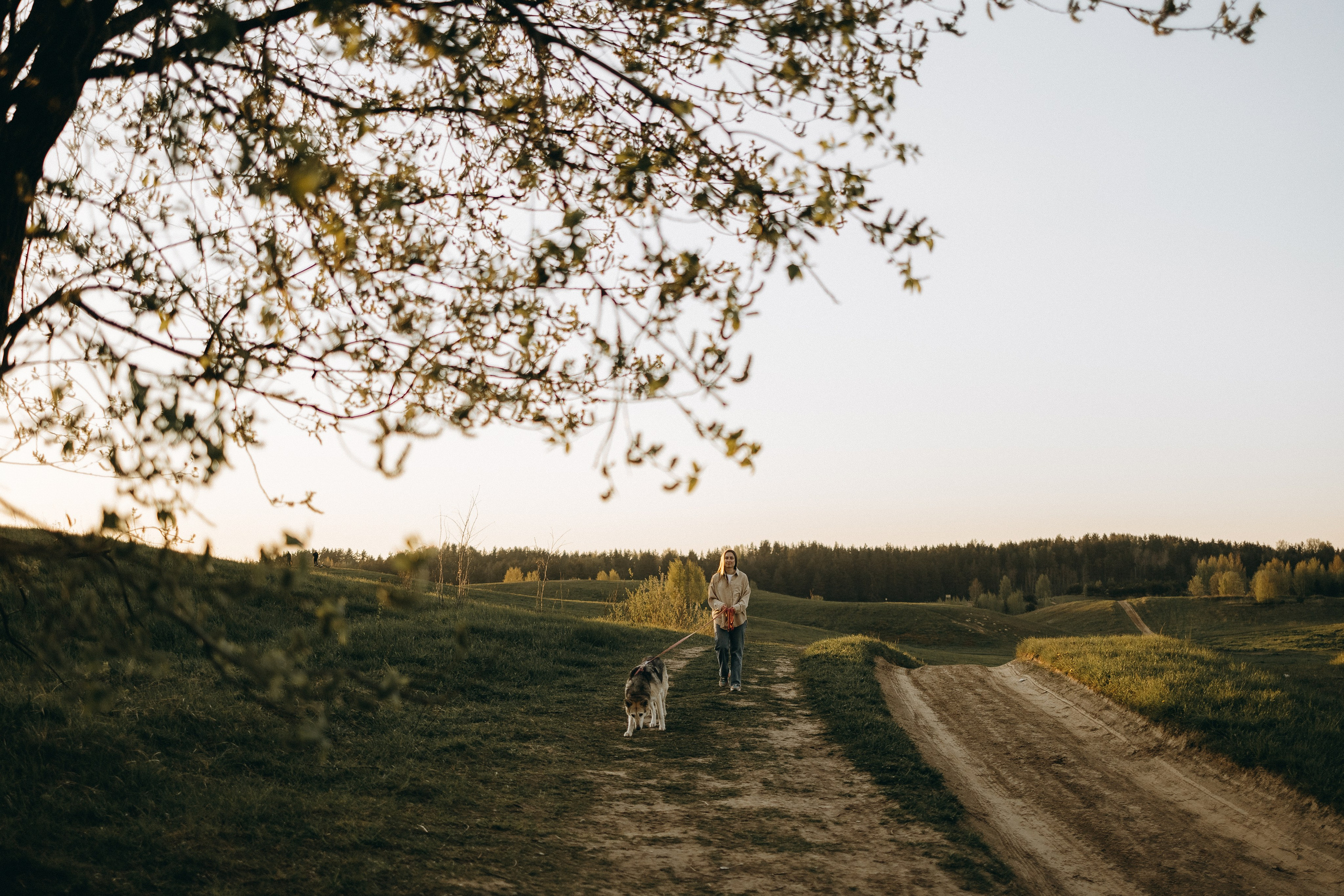 Саша и Зельда. Фотограф — Анималист | Санкт-Петербург