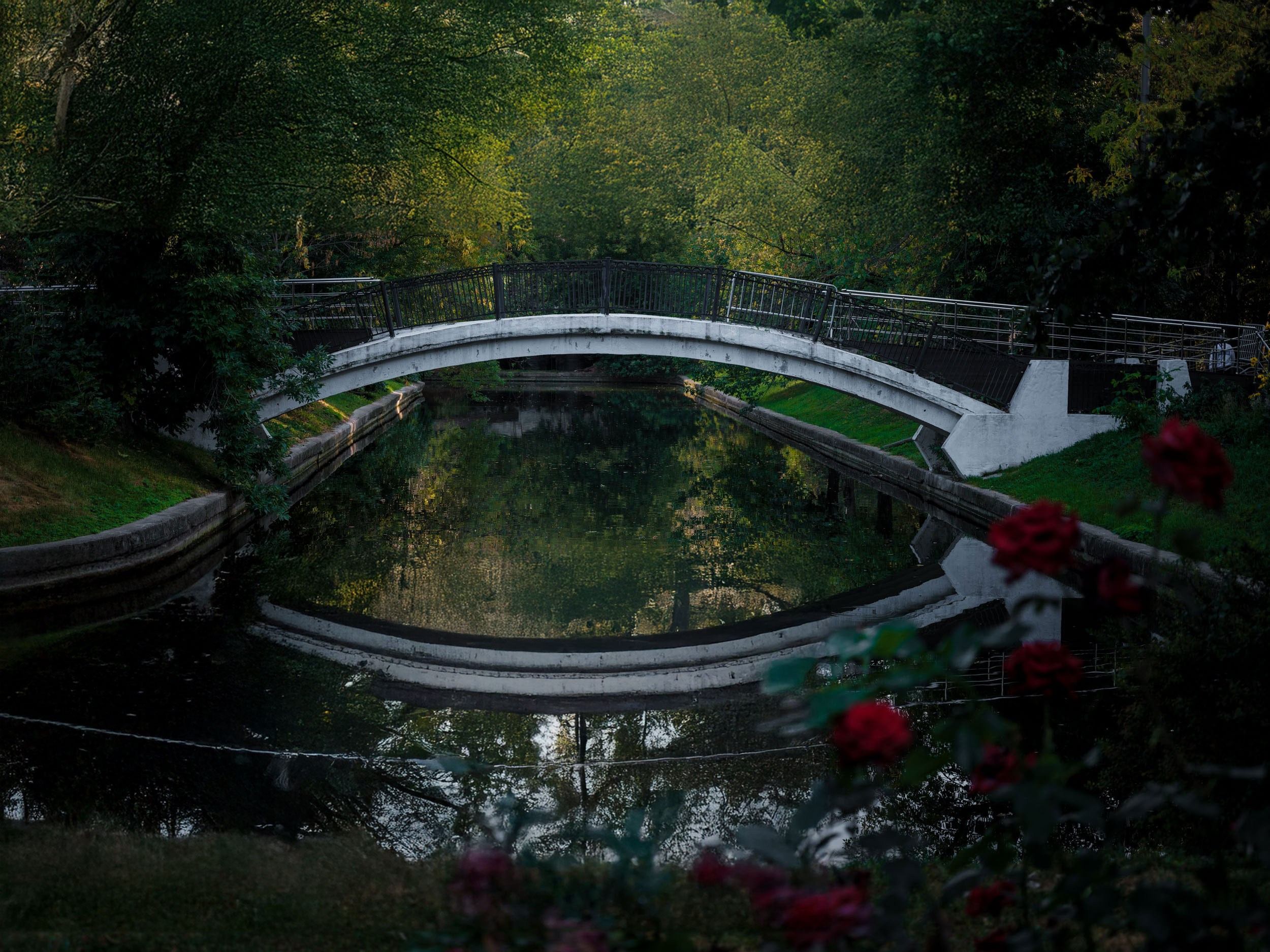 Fujifilm 50sII. Никита Демидов. Nikita Demidov