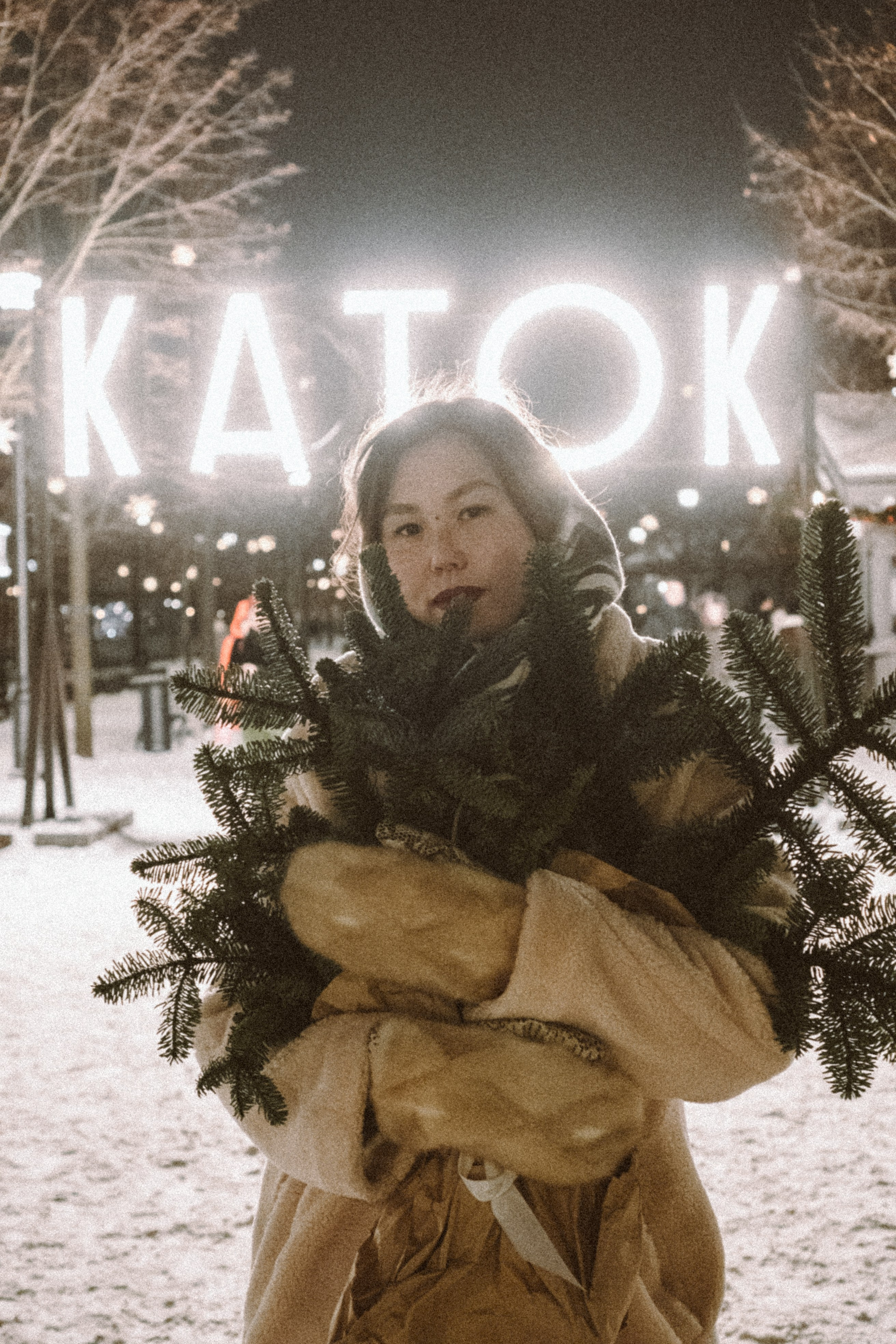 Зимняя сказка в Новой Голандии. Профессиональный фотограф, Санкт-Петербург — Виктория Богомолова