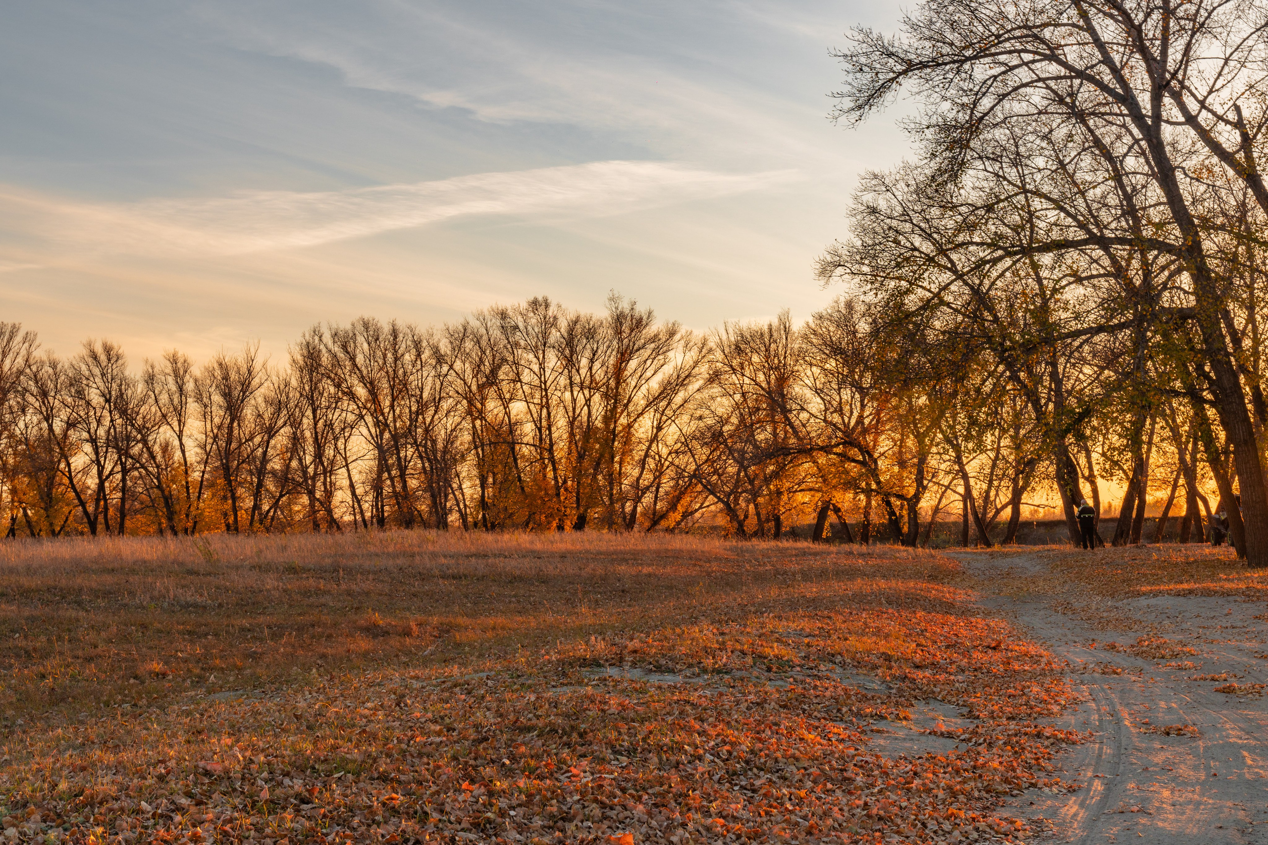 Пейзажная фотография. Daria wanderer photography