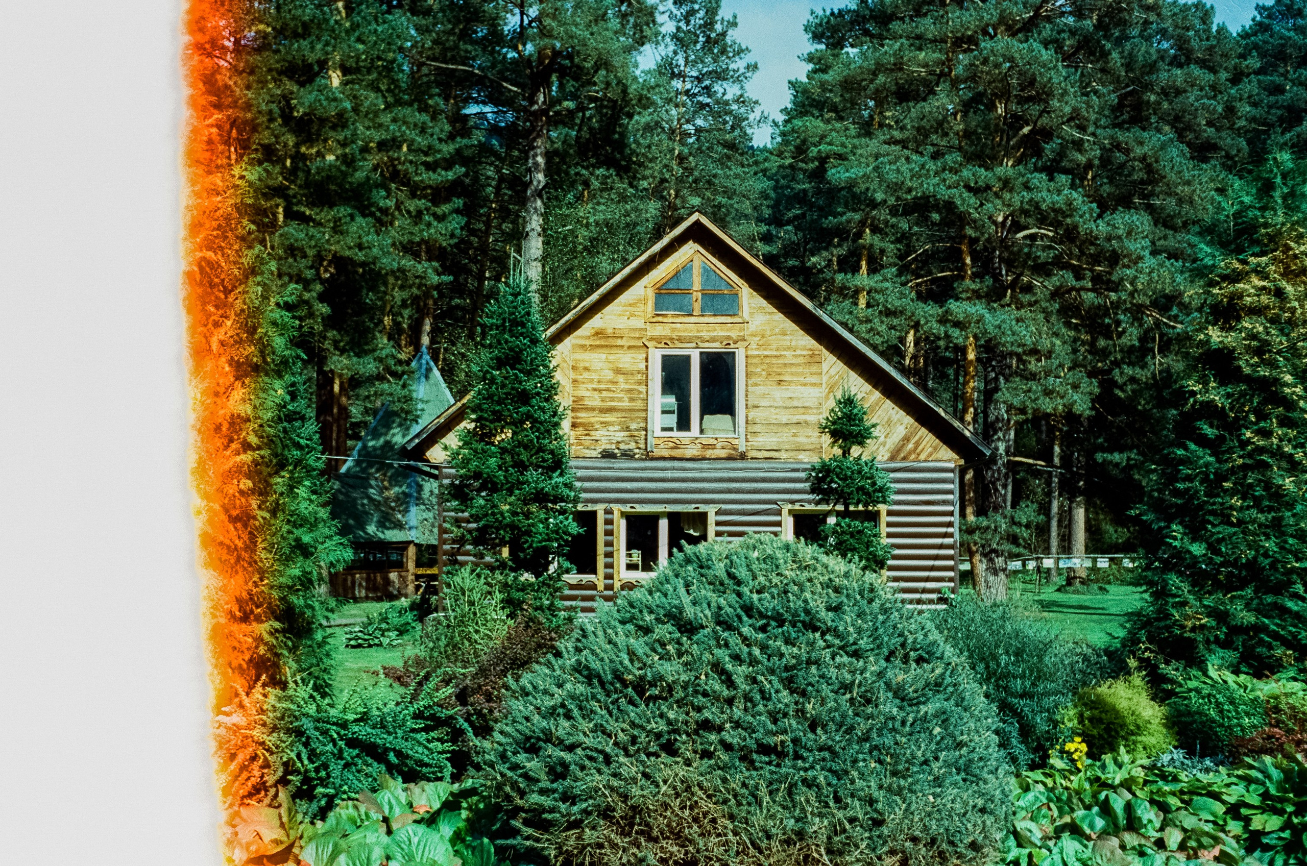 Горно-Алтайский ботанический сад / 13 сентября 2024 года / Minox 35 GT / SFL 250D